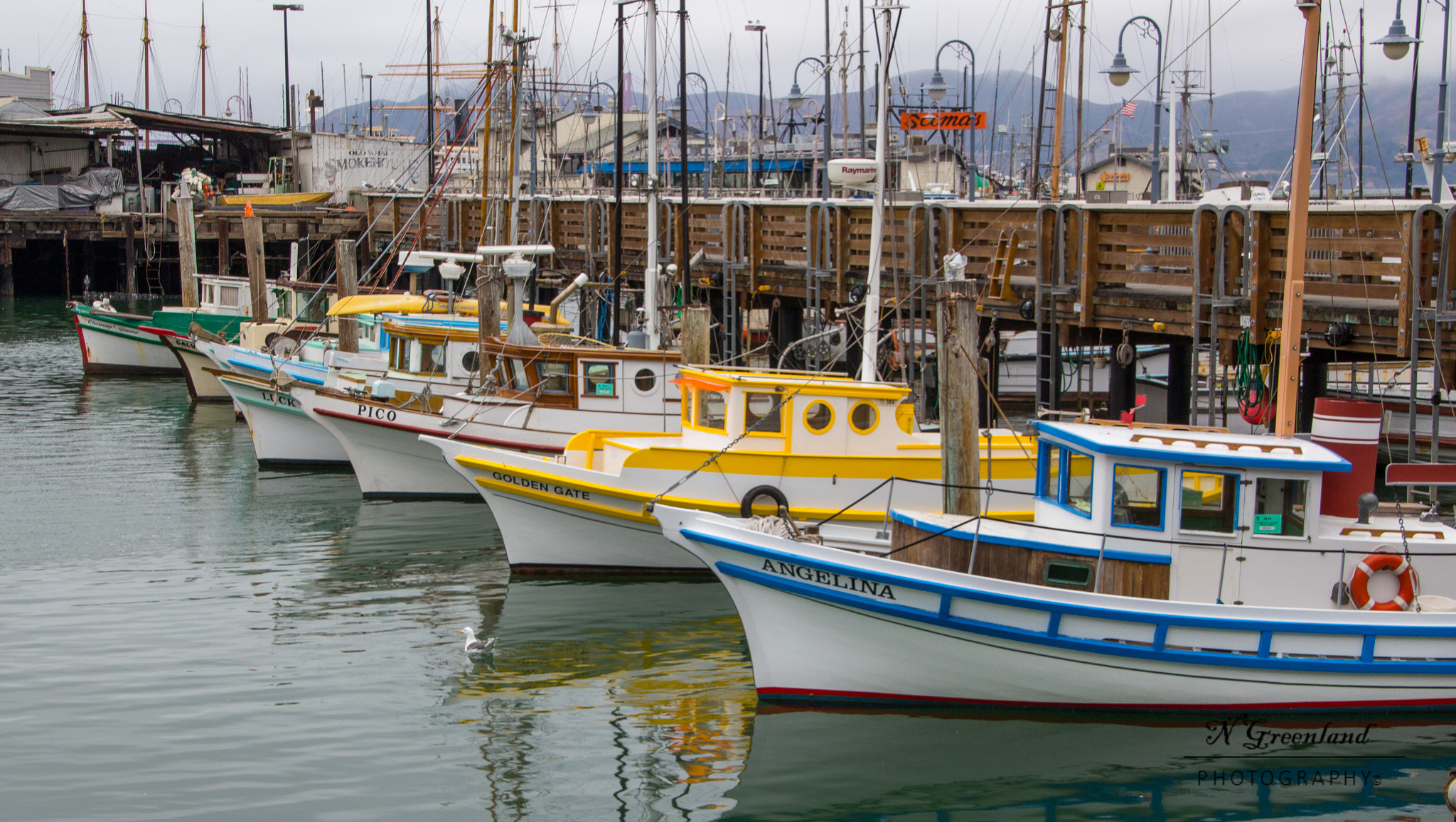 Canon EOS 100D (EOS Rebel SL1 / EOS Kiss X7) sample photo. Rainbow of boats photography