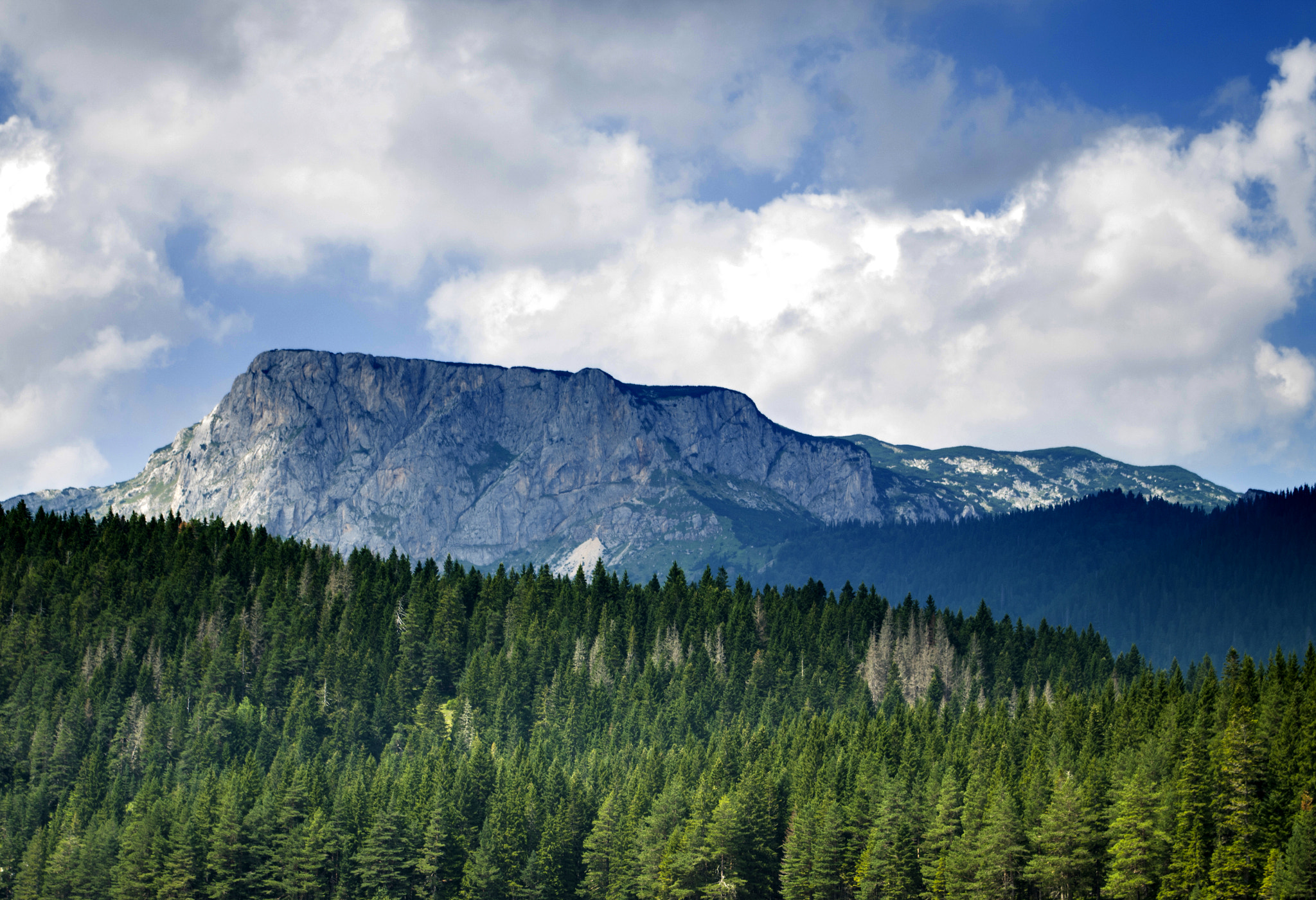 Pentax smc DA 18-55mm F3.5-5.6 ED AL II (IF) sample photo. Wild montenegro photography