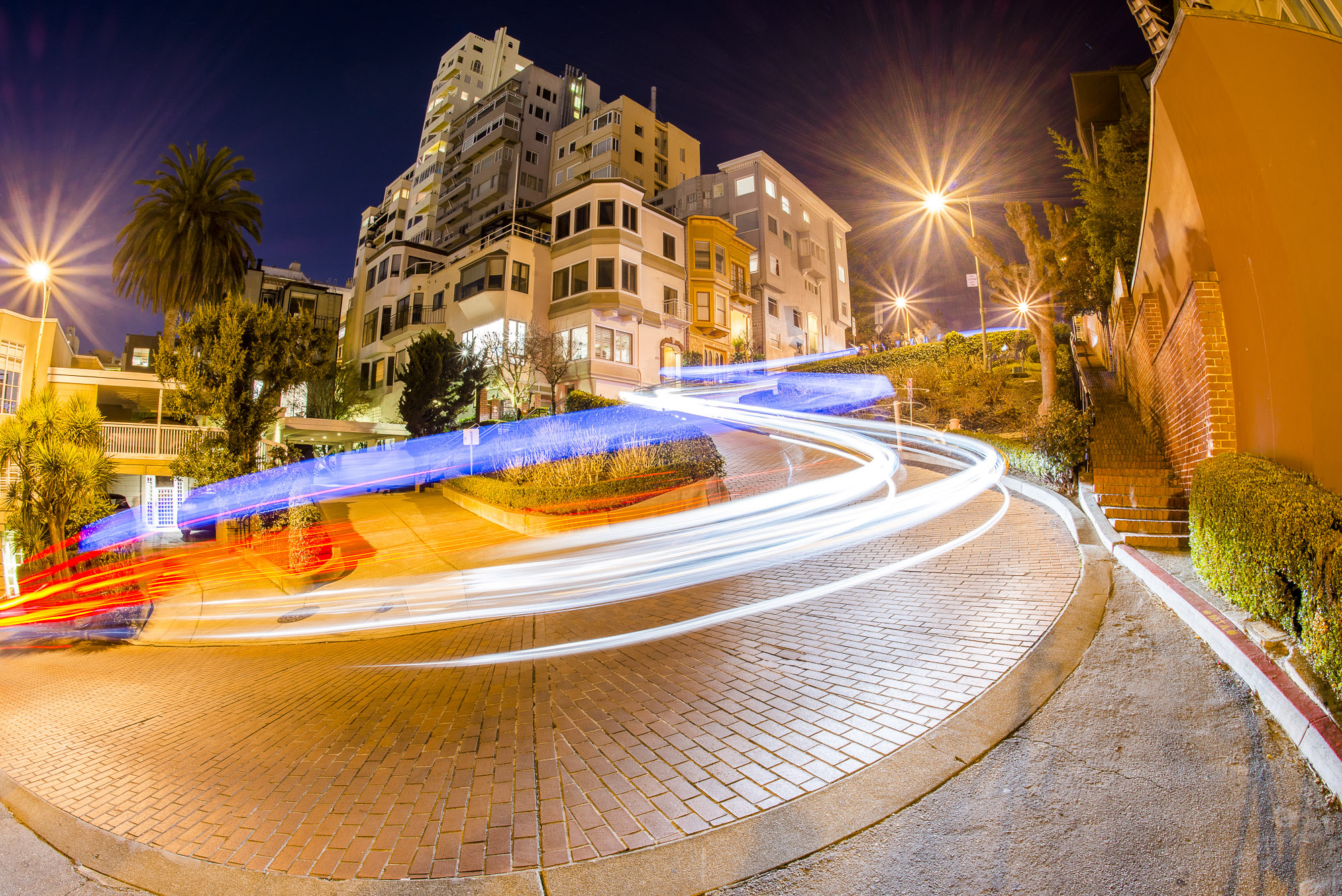 Nikon D800 + Nikon AF Fisheye-Nikkor 16mm F2.8D sample photo. Lombard st., san francisco photography