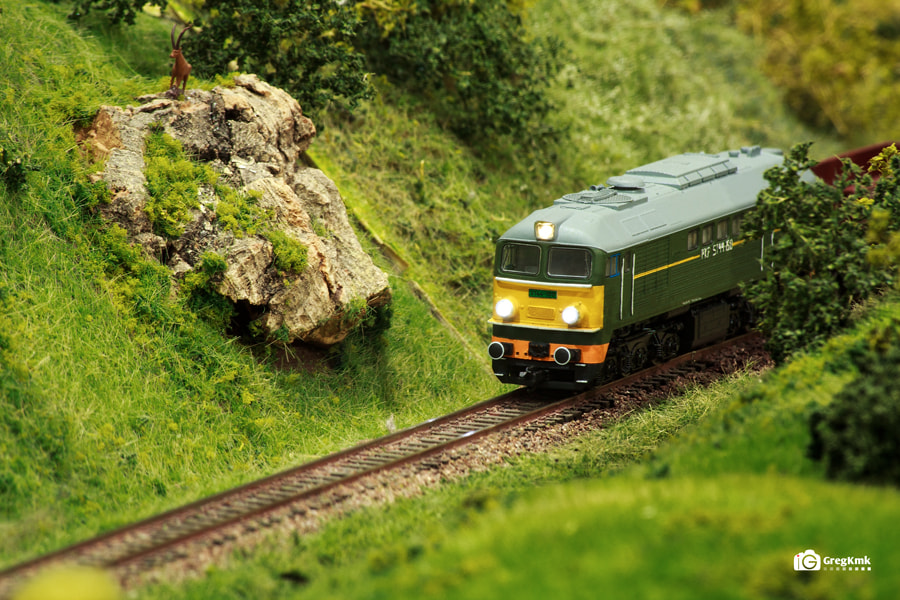 Canon EF 70-300mm F4-5.6 IS USM sample photo. Little train photography