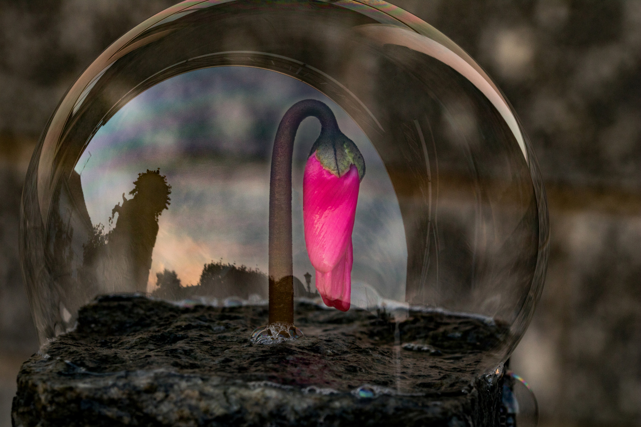 Sigma 105mm F2.8 EX DG OS HSM sample photo. Bubble soap shield photography