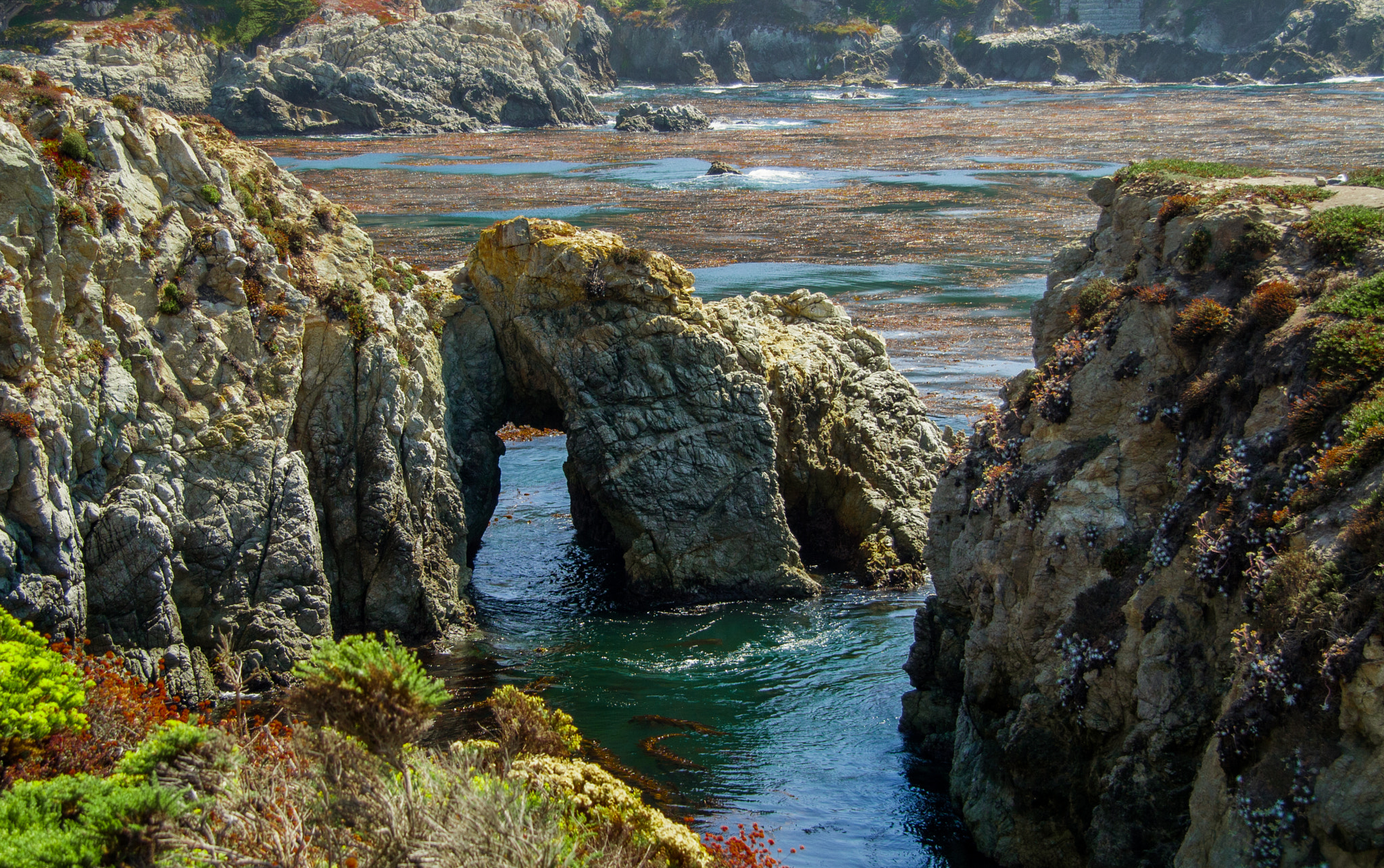 Canon EF-S 17-85mm F4-5.6 IS USM sample photo. Carmel, ca photography