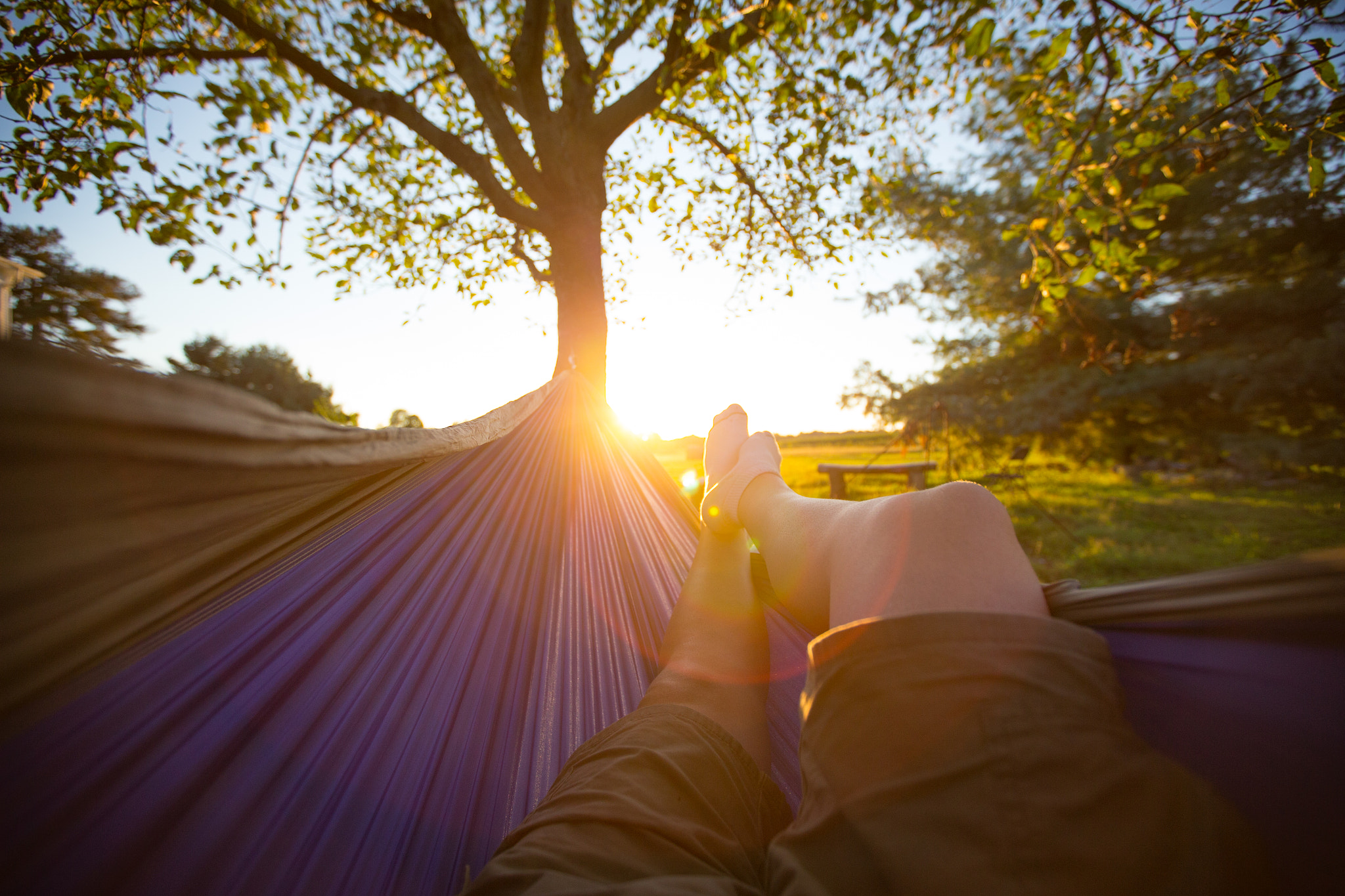 Canon EOS-1D C + Canon EF 16-35mm F2.8L II USM sample photo. Hammok relaxing photography