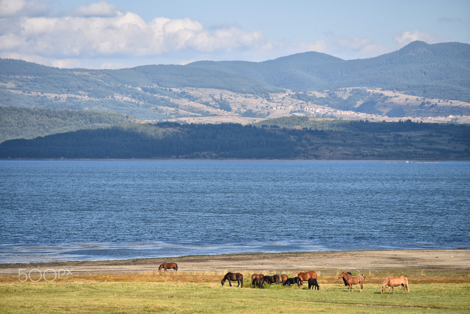 Nikon D750 sample photo. Mountain panorama with lake and horses photography