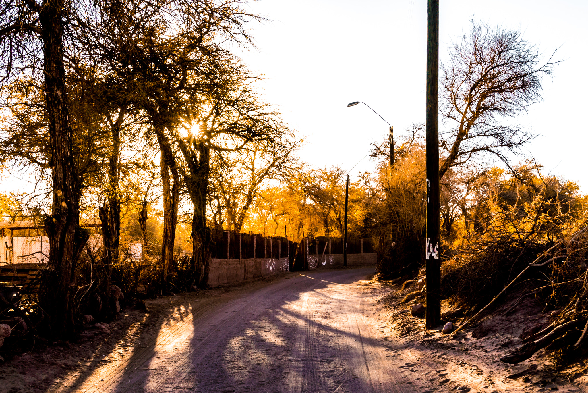 Sony a7S + Sony Sonnar T* FE 35mm F2.8 ZA sample photo. Yellow road photography