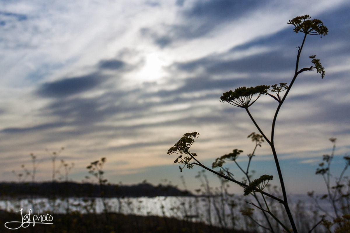 Canon EF 24-70mm F4L IS USM sample photo. Profile photography