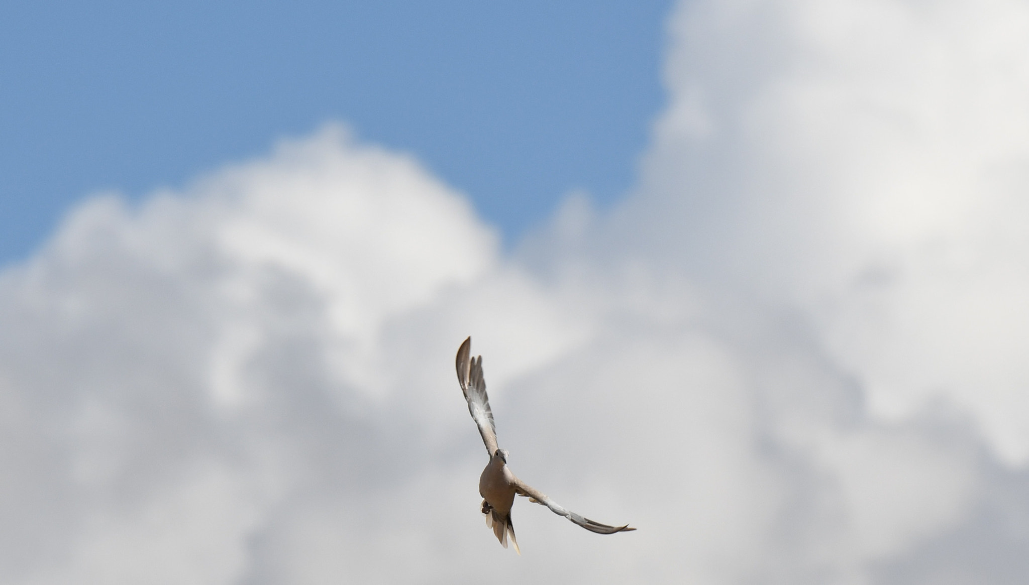 Tamron SP 70-200mm F2.8 Di VC USD sample photo. Out of the clouds photography
