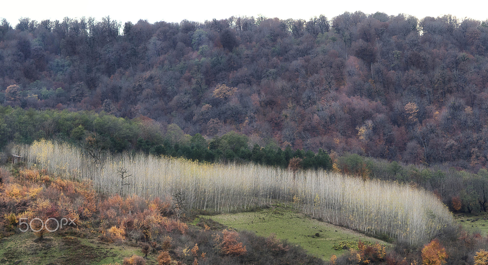 Canon EOS 1000D (EOS Digital Rebel XS / EOS Kiss F) sample photo. Autumn photography