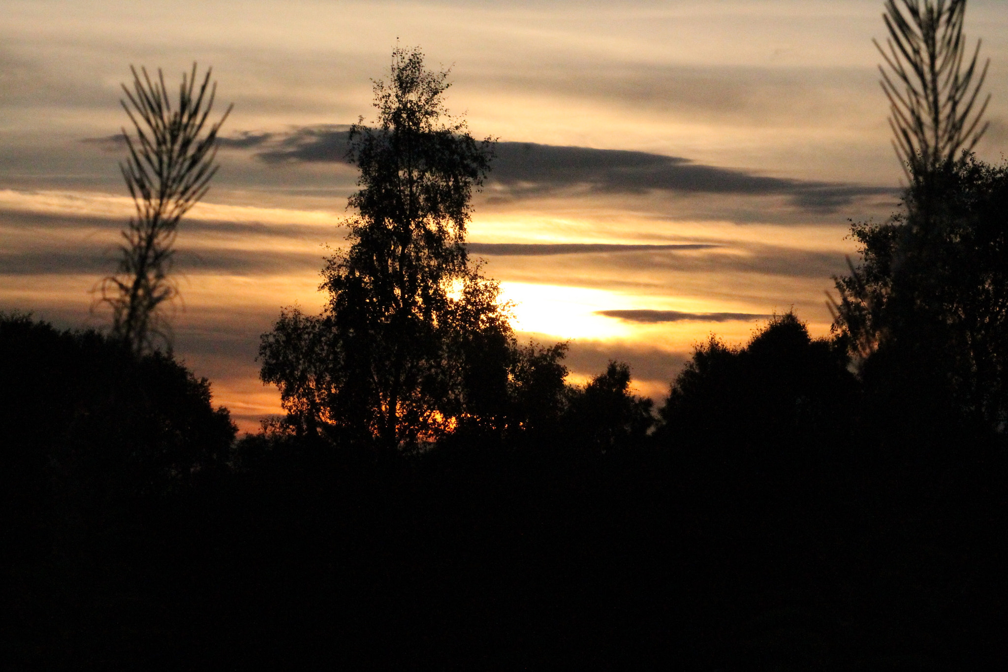 Canon EF75-300mm f/4-5.6 sample photo. Golden sunset over staffordshire photography