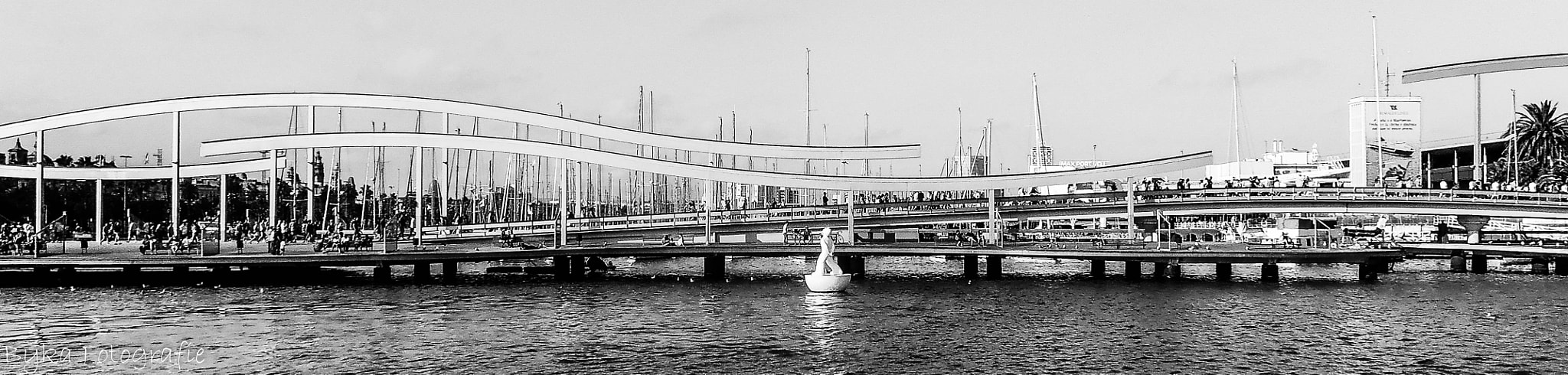 Olympus VR310,D720 sample photo. Barcelona bridge  photography