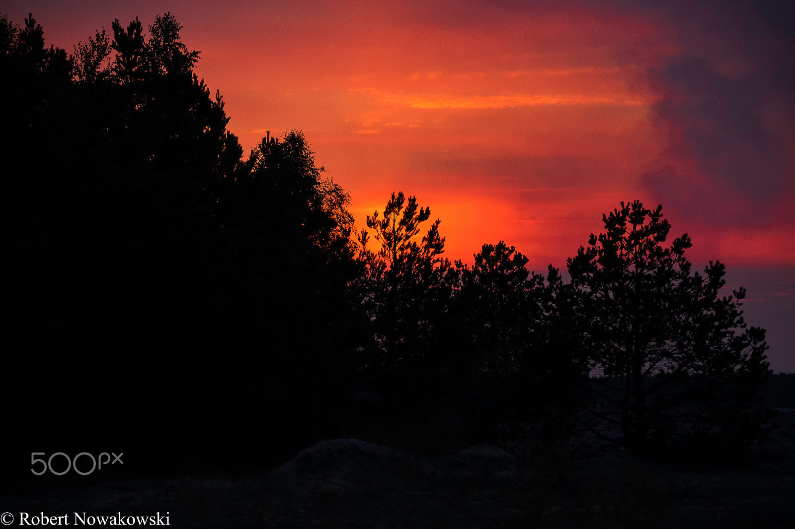 Nikon D750 sample photo. Jesienny zachód słońca na pustyni błędowskiej. photography