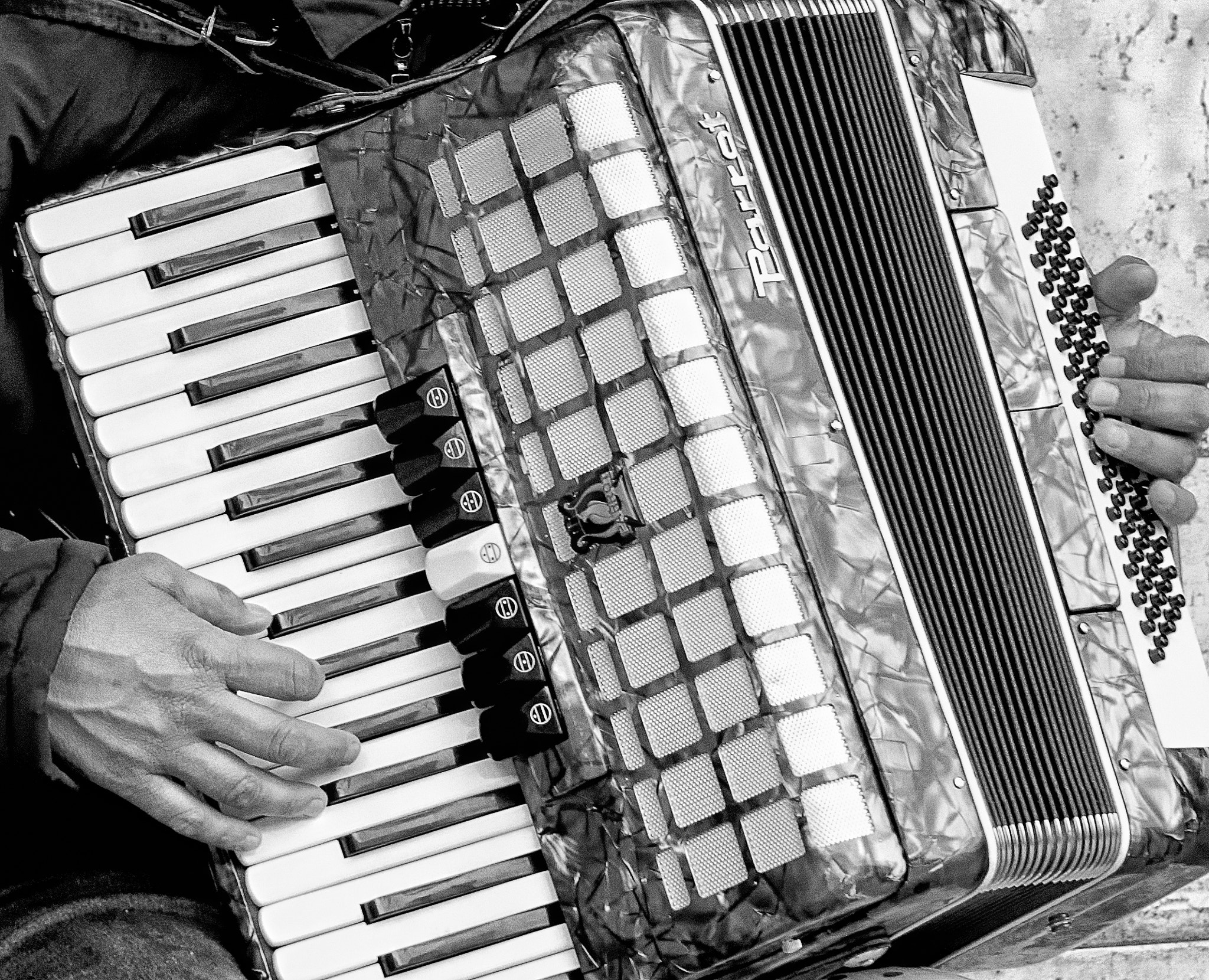 Canon EOS 5DS + Canon EF 100mm F2.8L Macro IS USM sample photo. Street-corner accordion player (venice, italy)_cropped photography