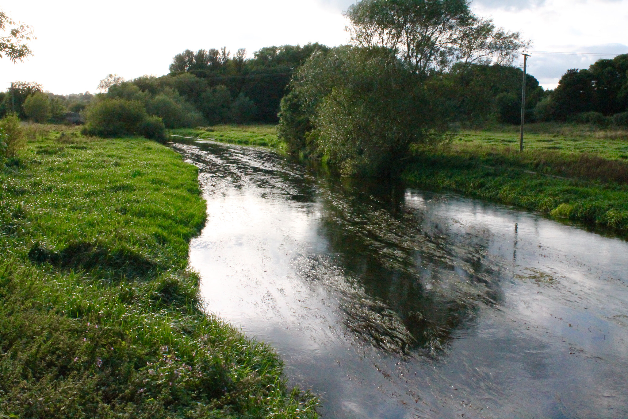 Canon EF-S 18-55mm F3.5-5.6 III sample photo. River trent swamped with reeds flowing through staffordshire photography