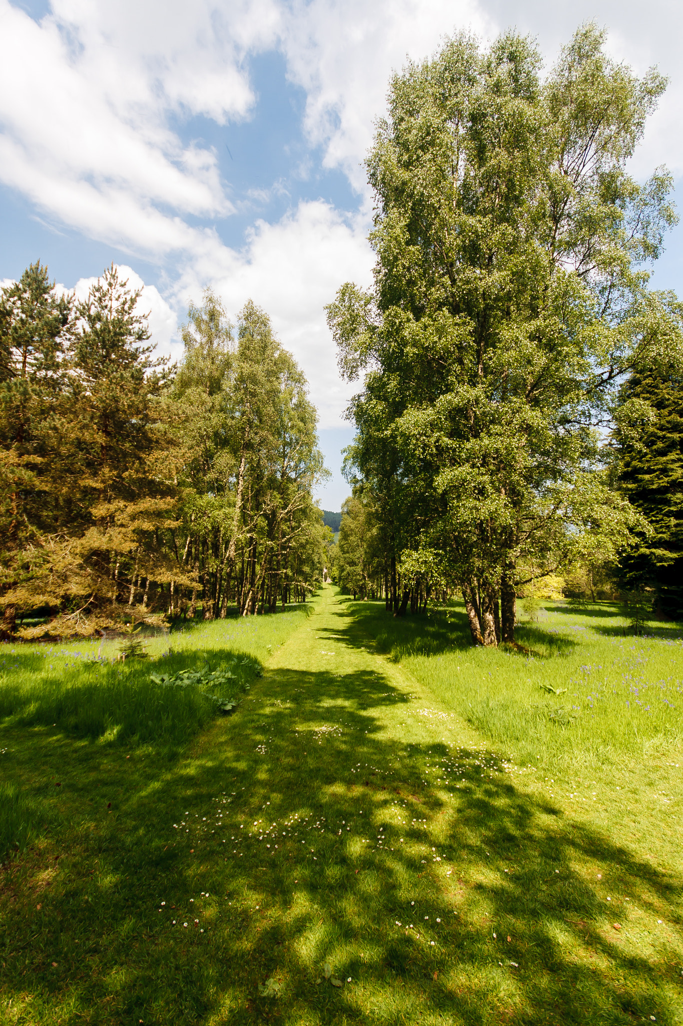 Sigma 10-20mm F4-5.6 EX DC HSM sample photo. 26917631544.jpg photography