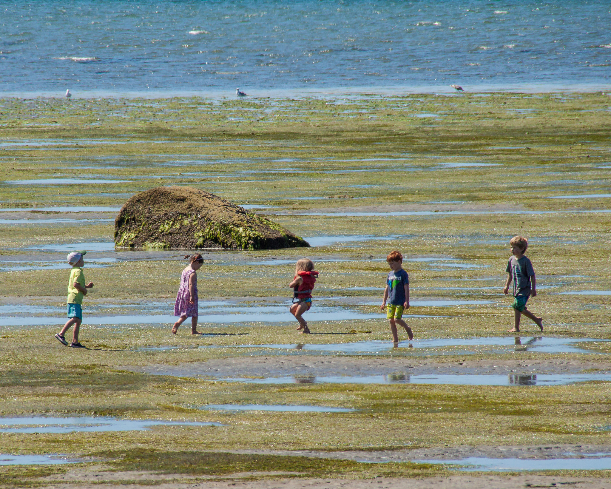 Canon EOS 50D + Sigma 18-250mm F3.5-6.3 DC OS HSM sample photo. Kids on the savary seashore photography