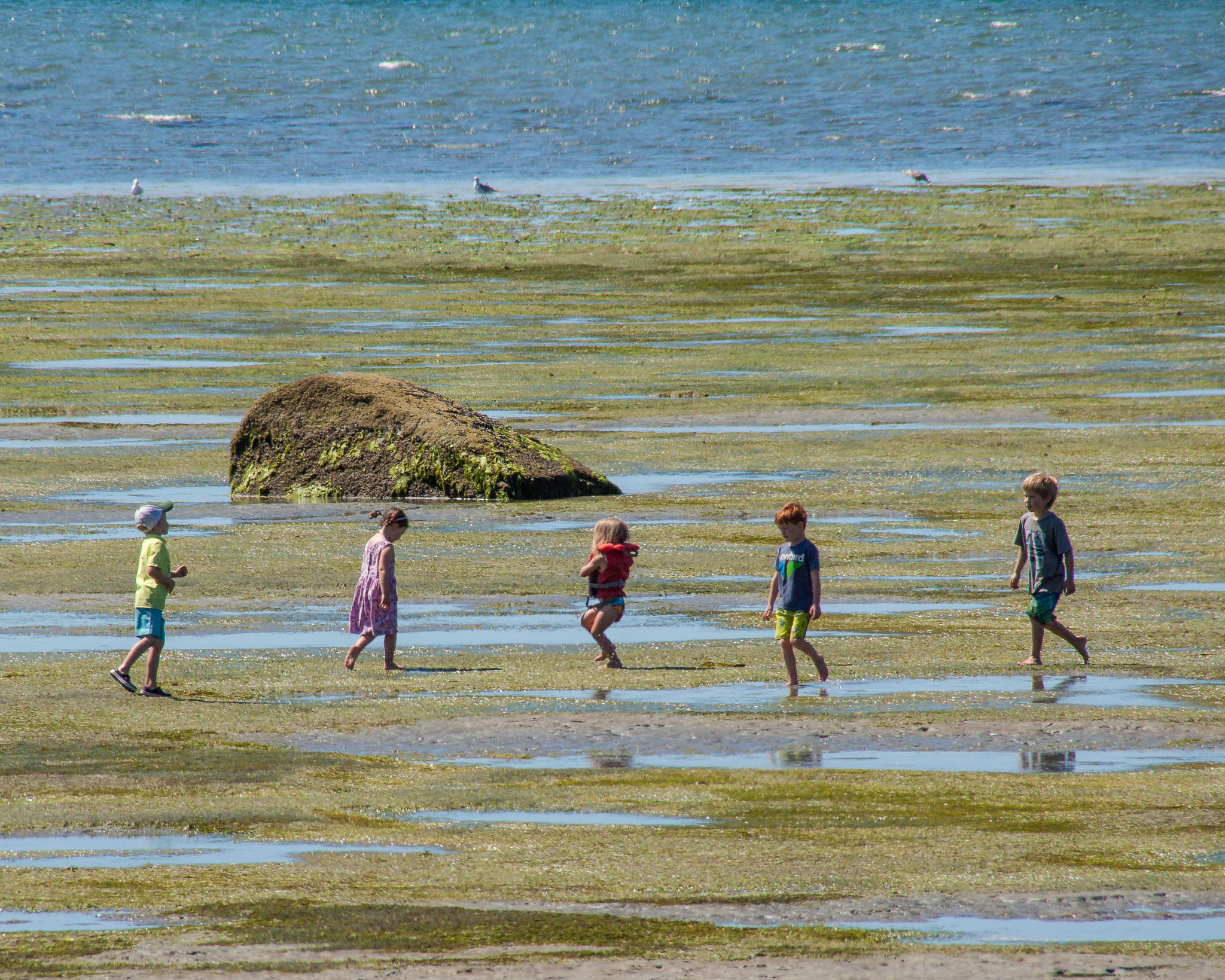 Sigma 18-250mm F3.5-6.3 DC OS HSM sample photo. Kids on the savary seashore photography