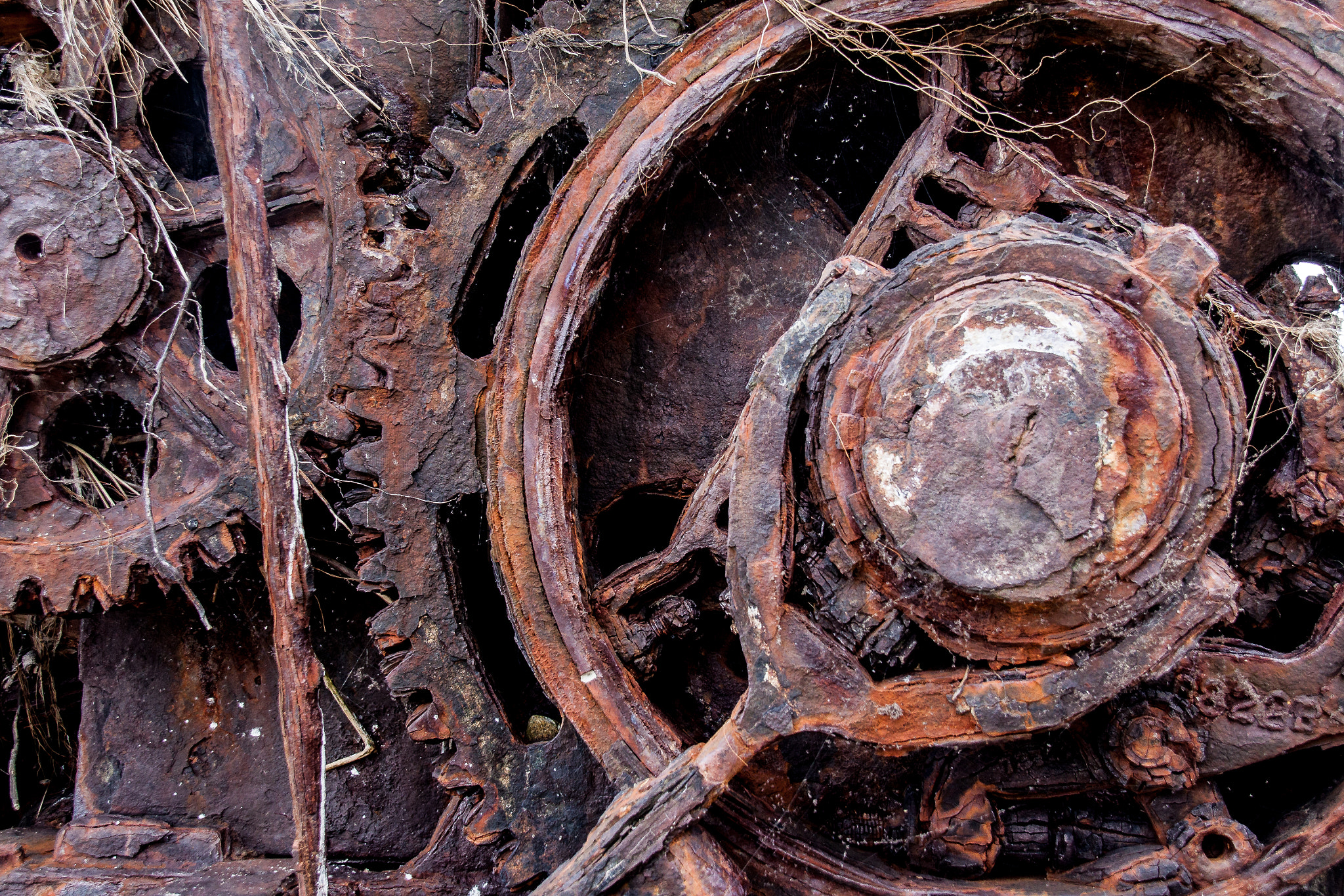 Canon EOS 50D + Sigma 18-250mm F3.5-6.3 DC OS HSM sample photo. Rusty machine on the seashore photography
