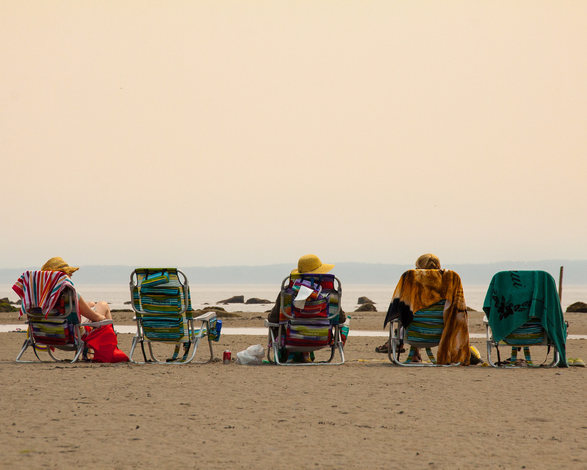 Sigma 18-250mm F3.5-6.3 DC OS HSM sample photo. Friends  gazing at the smoky sky x photography