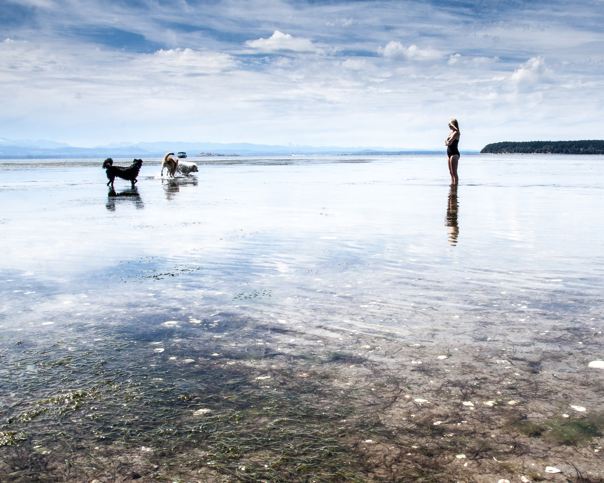 Canon EOS 50D + Sigma 18-250mm F3.5-6.3 DC OS HSM sample photo. Woman with dogs on the seashore photography