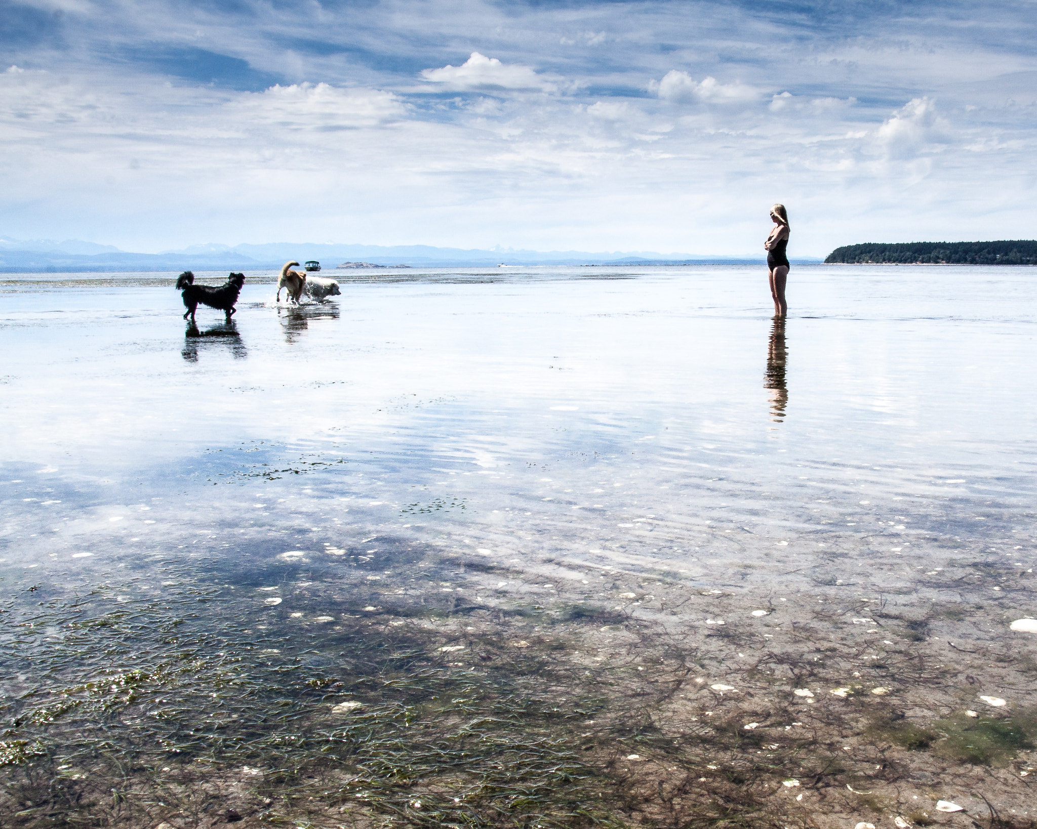Canon EOS 50D sample photo. Woman with dogs on the seashore photography