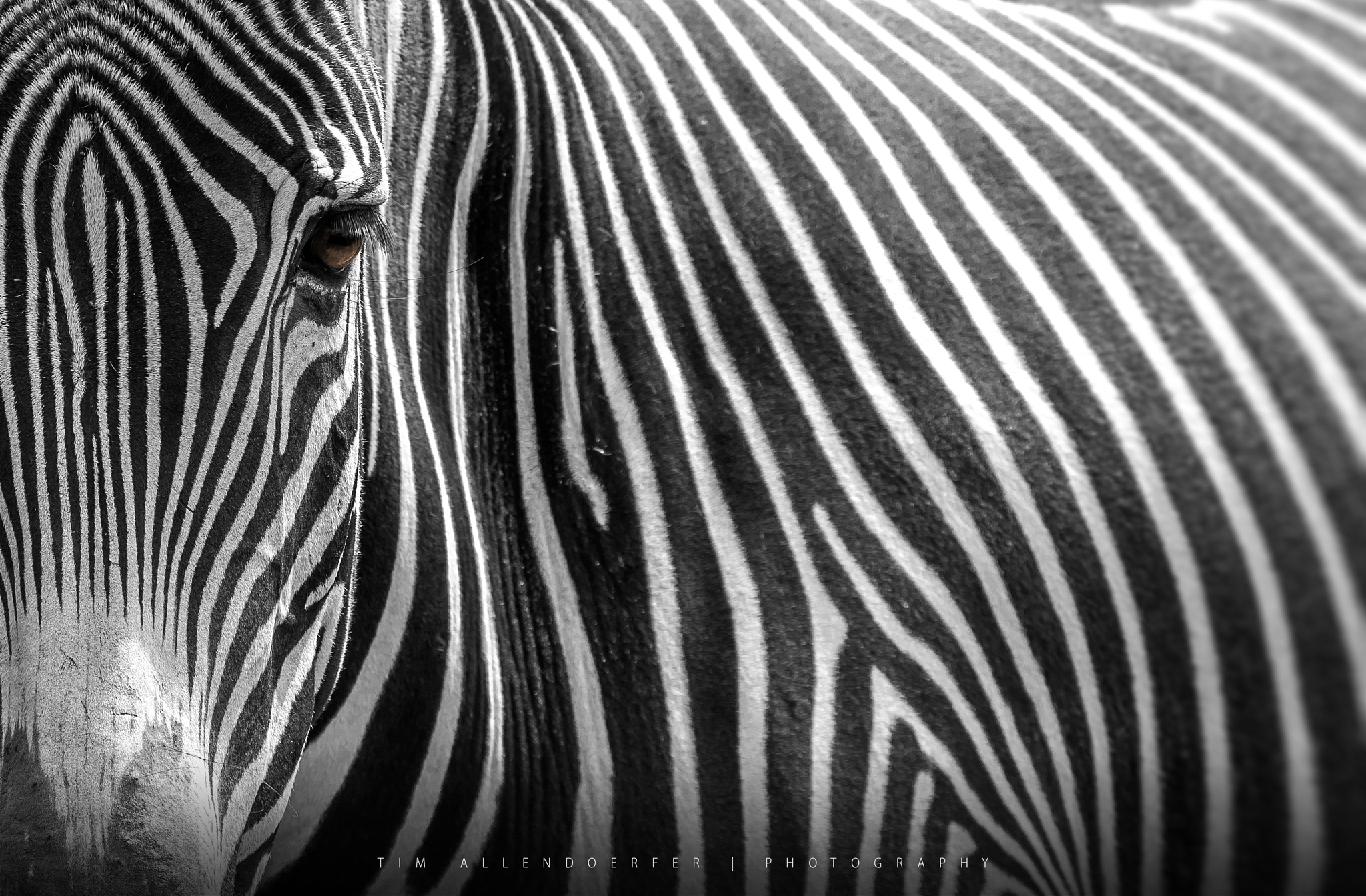 Panasonic Lumix DMC-GH4 sample photo. Stripes photography