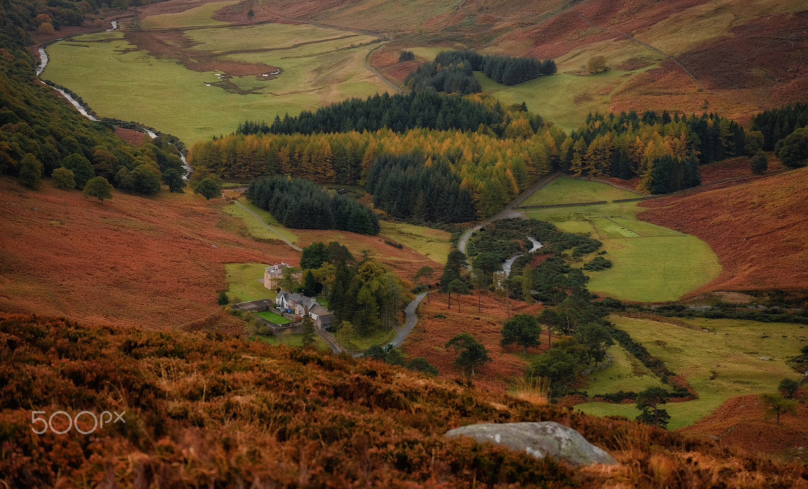 Fujifilm X-M1 + Fujifilm XC 50-230mm F4.5-6.7 OIS sample photo. ...in heart of luggala... photography