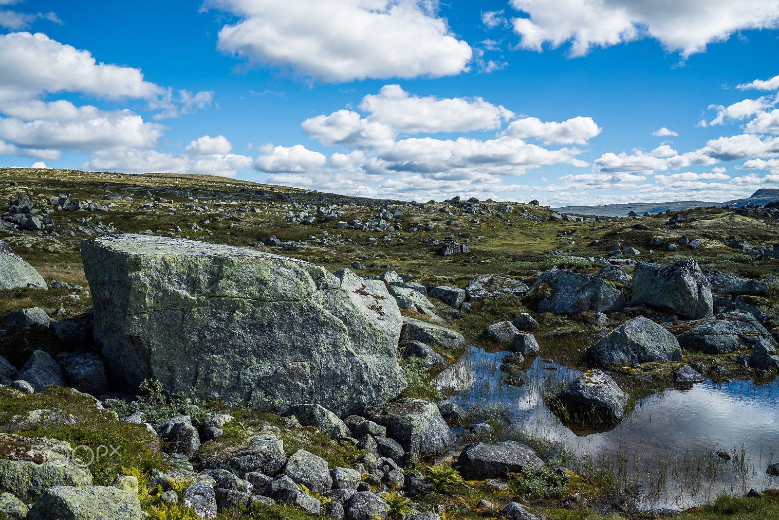 Sony FE 28mm F2 sample photo. Norway.love photography