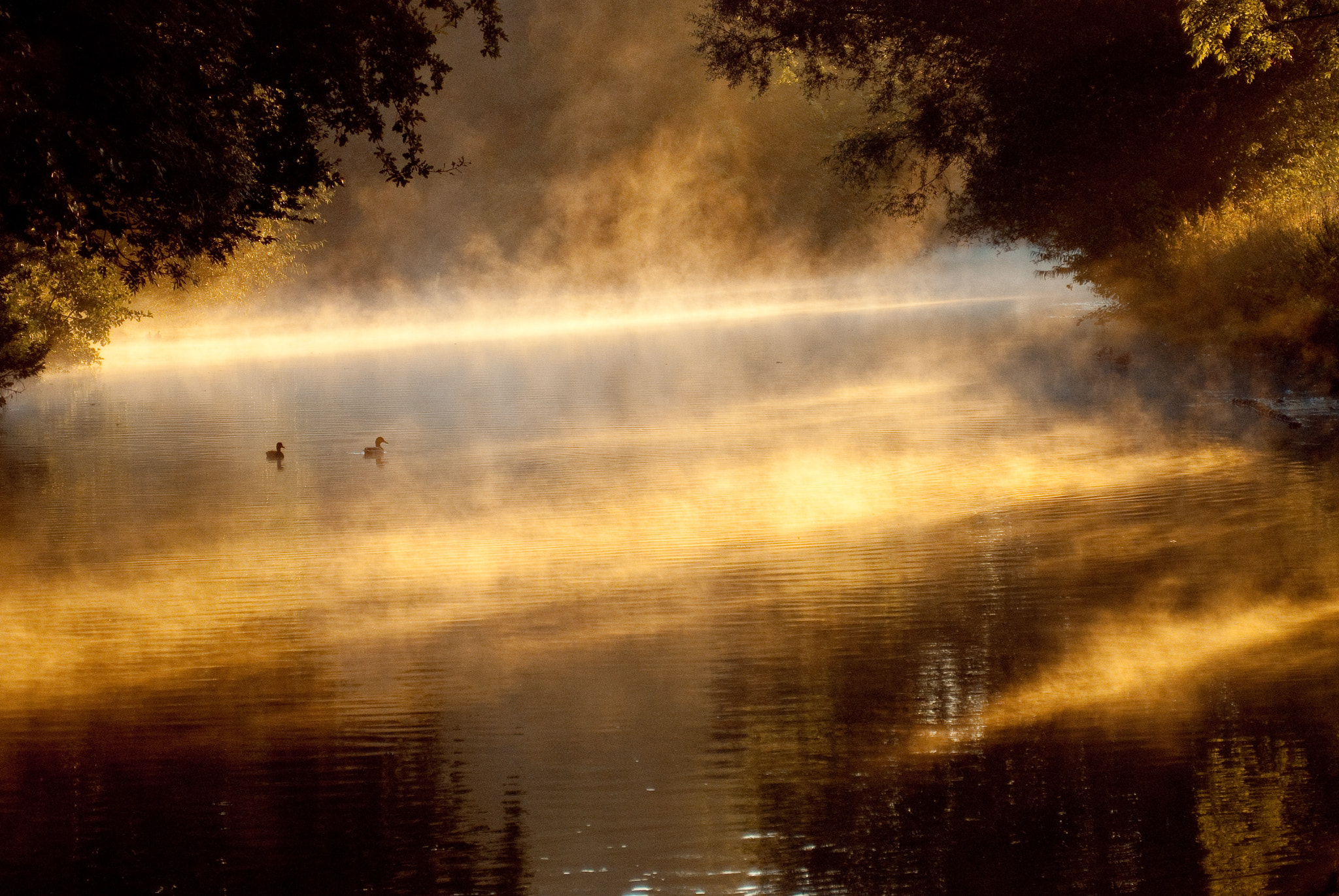 Nikon D80 + AF Zoom-Nikkor 28-100mm f/3.5-5.6G sample photo. The golden hour photography