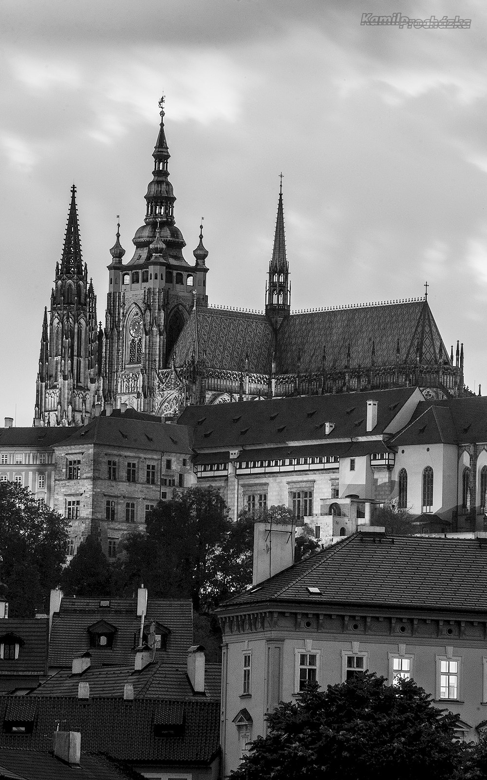 Sigma 18-200mm f/3.5-6.3 DC OS sample photo. Katedrála bw photography