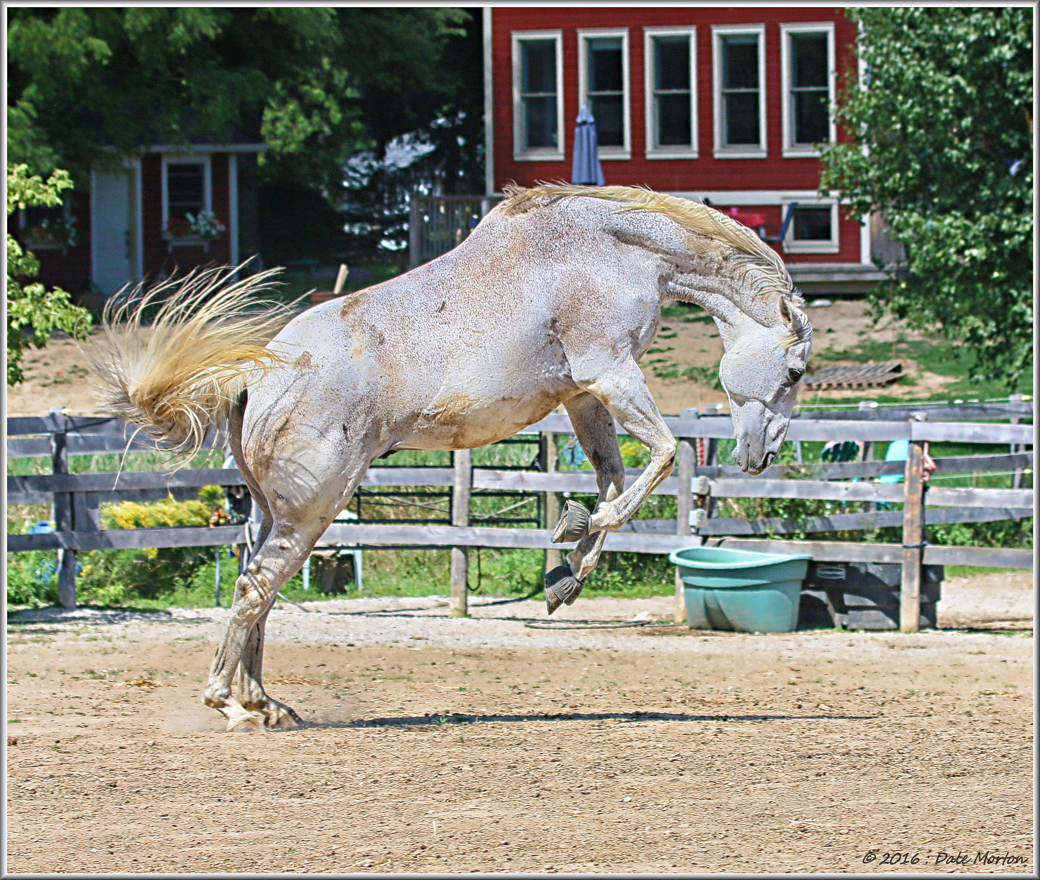 Canon EF 100-400mm F4.5-5.6L IS USM sample photo. Kevin photography