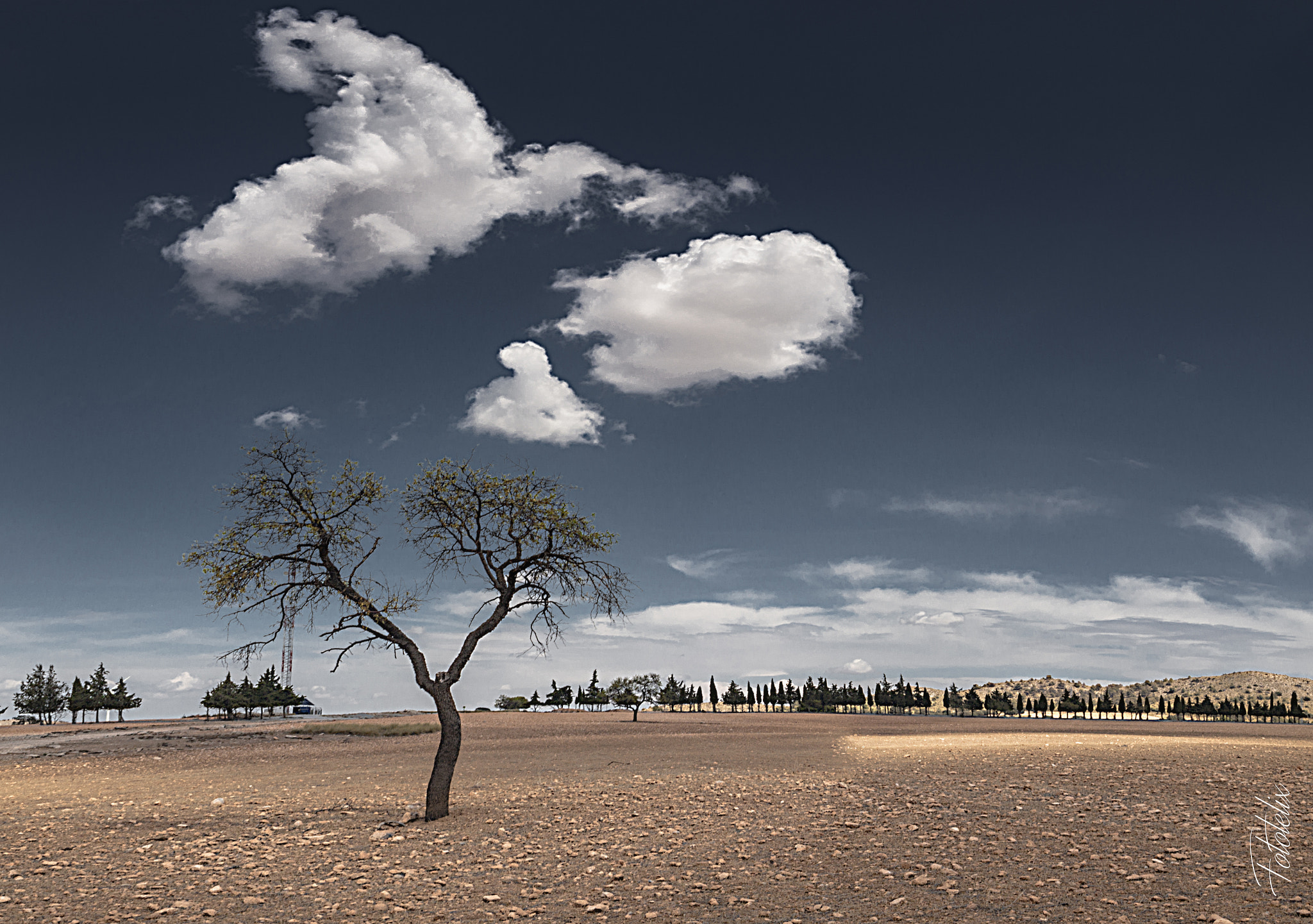 OLYMPUS 14-42mm Lens sample photo. Talking to the clouds photography