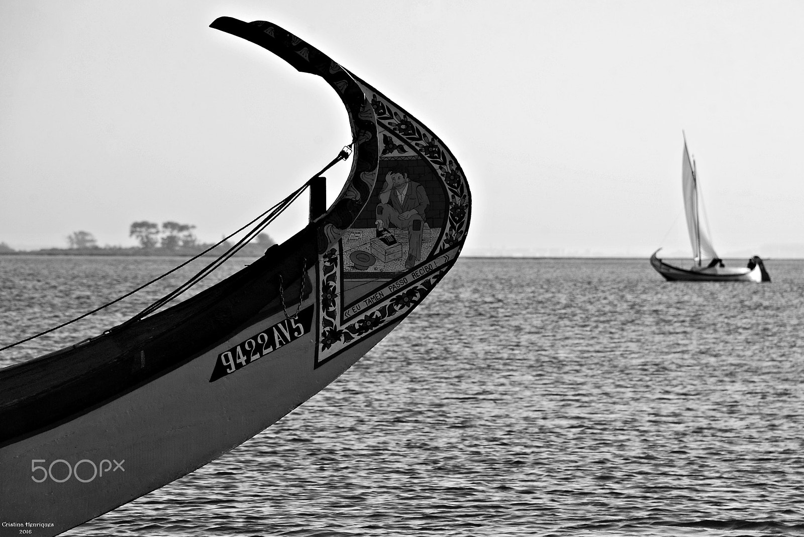 Nikon D40X sample photo. Moliceiros photography