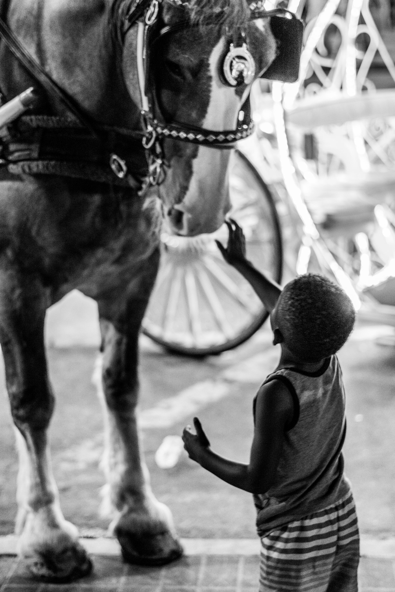 Sony a6300 + Sony FE 50mm F1.8 sample photo. "discovery". this was taken near centennial park i ... photography