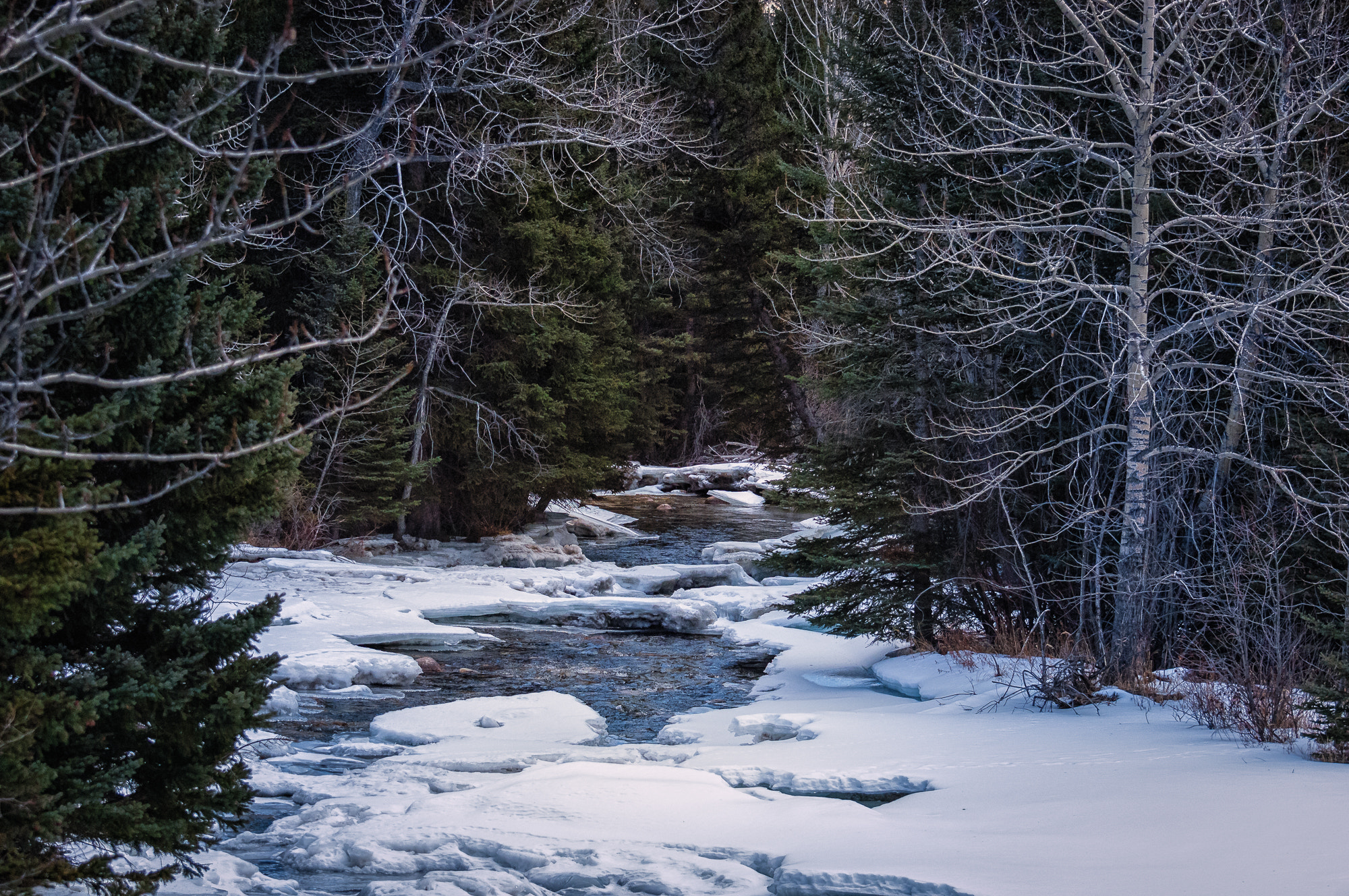 Nikon D2X sample photo. Edit photography