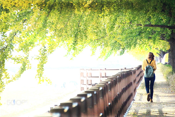 Canon EOS 650D (EOS Rebel T4i / EOS Kiss X6i) sample photo. Img photography