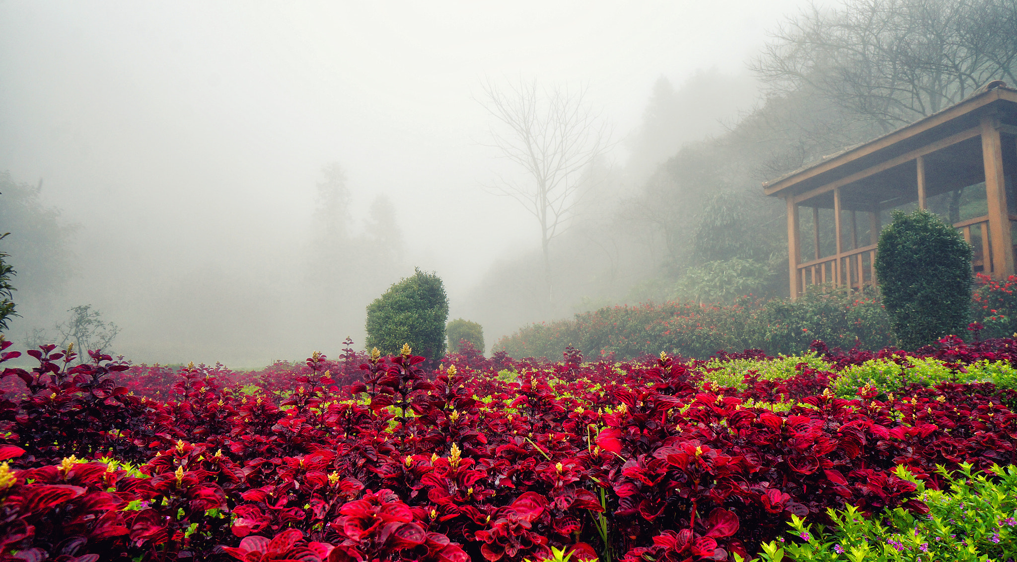 Sony Alpha NEX-F3 + Sony E 16mm F2.8 sample photo. Aeo () photography