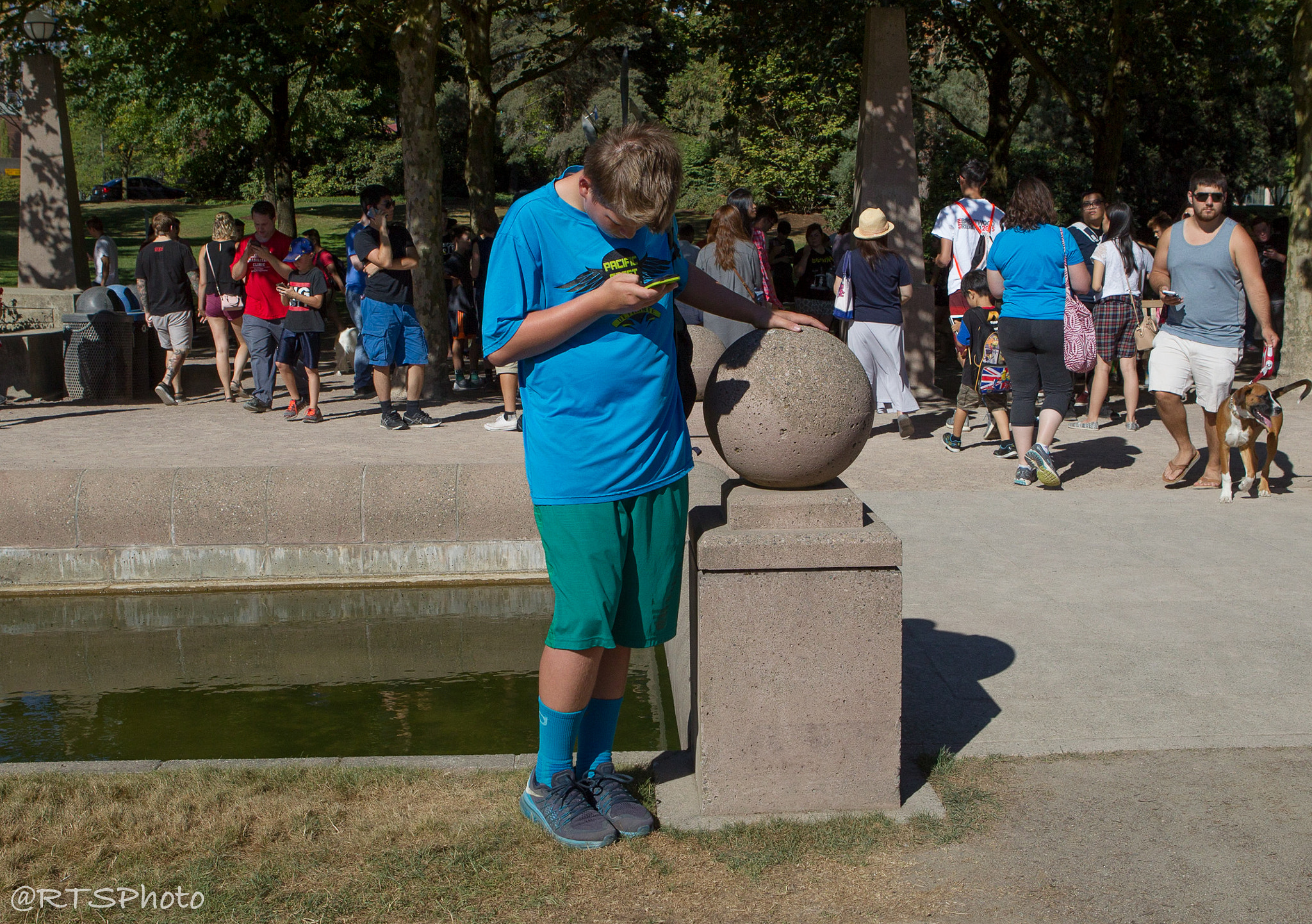 Canon EOS-1D Mark IV sample photo. Pokemon view of the world photography