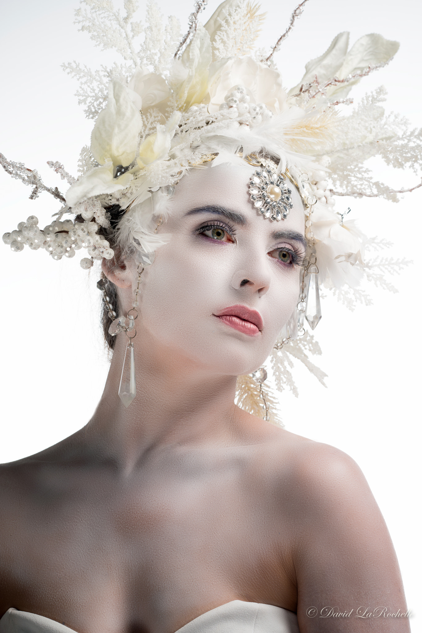 Sony Sonnar T* 135mm F1.8 ZA sample photo. Ice queen photography