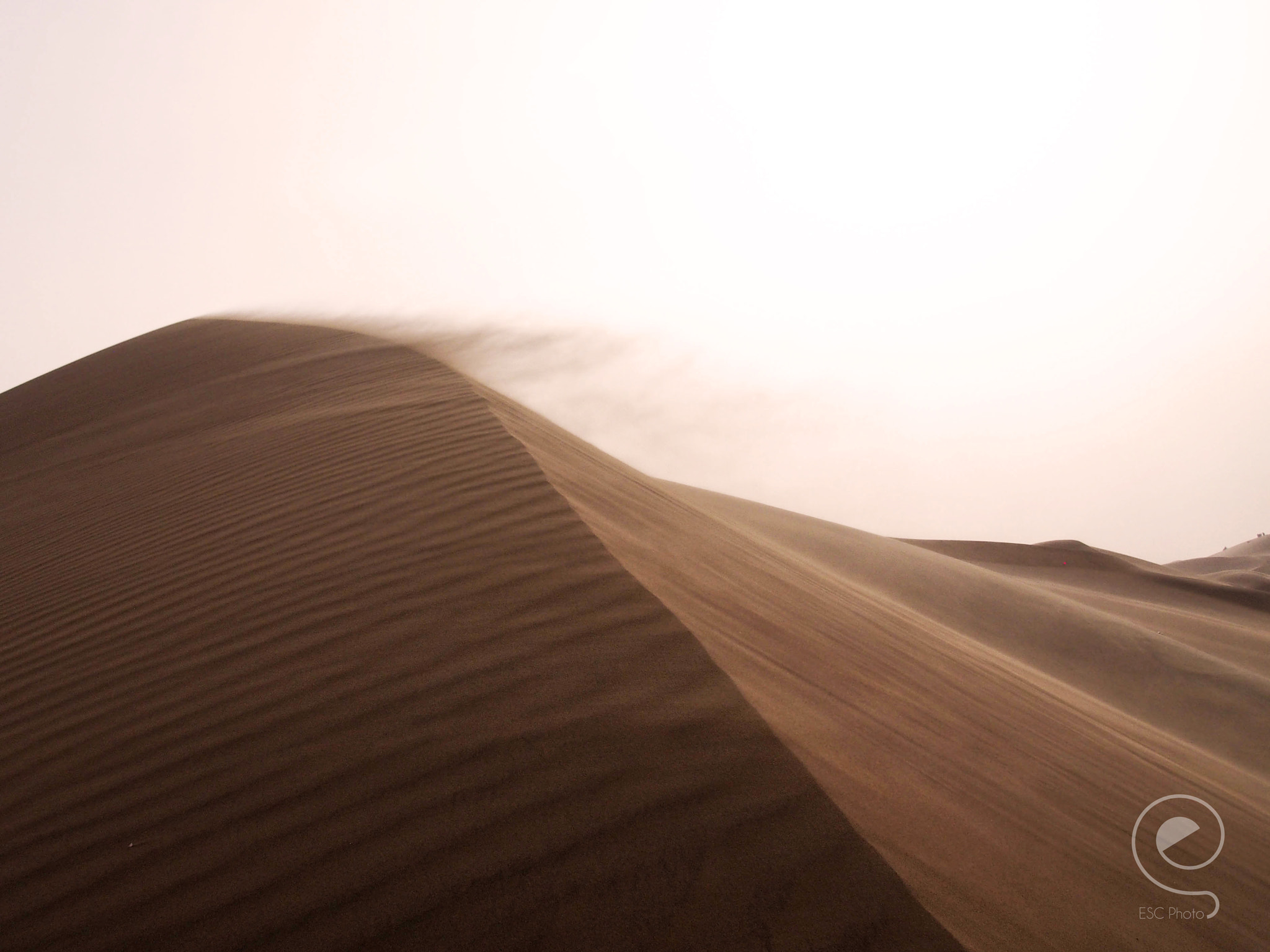 Olympus PEN E-PM2 sample photo. Dust in the wind photography