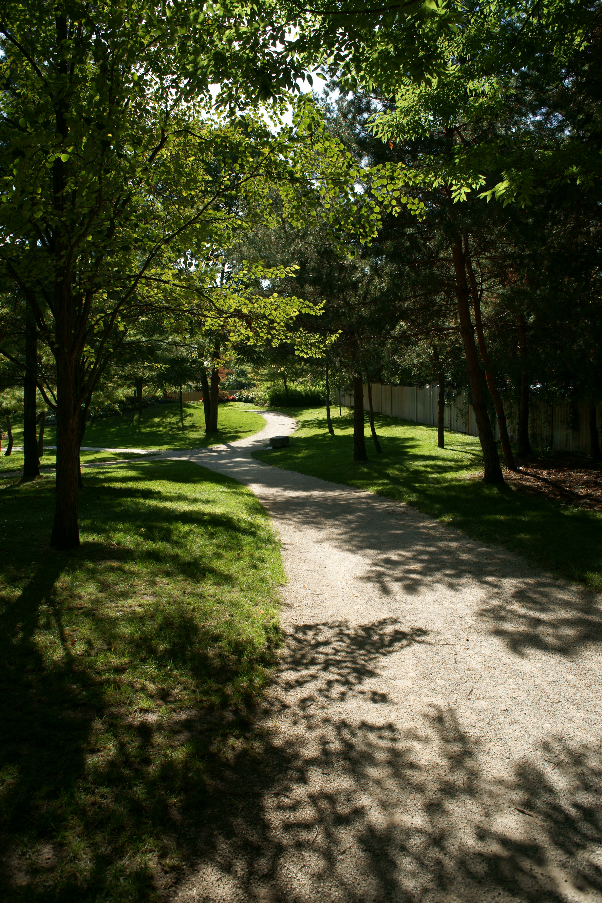 Minolta AF 28mm F2 sample photo. Path of shadows photography