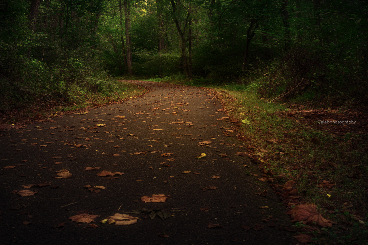 30mm F1.4 DC DN | Contemporary 016 sample photo. Such a day photography