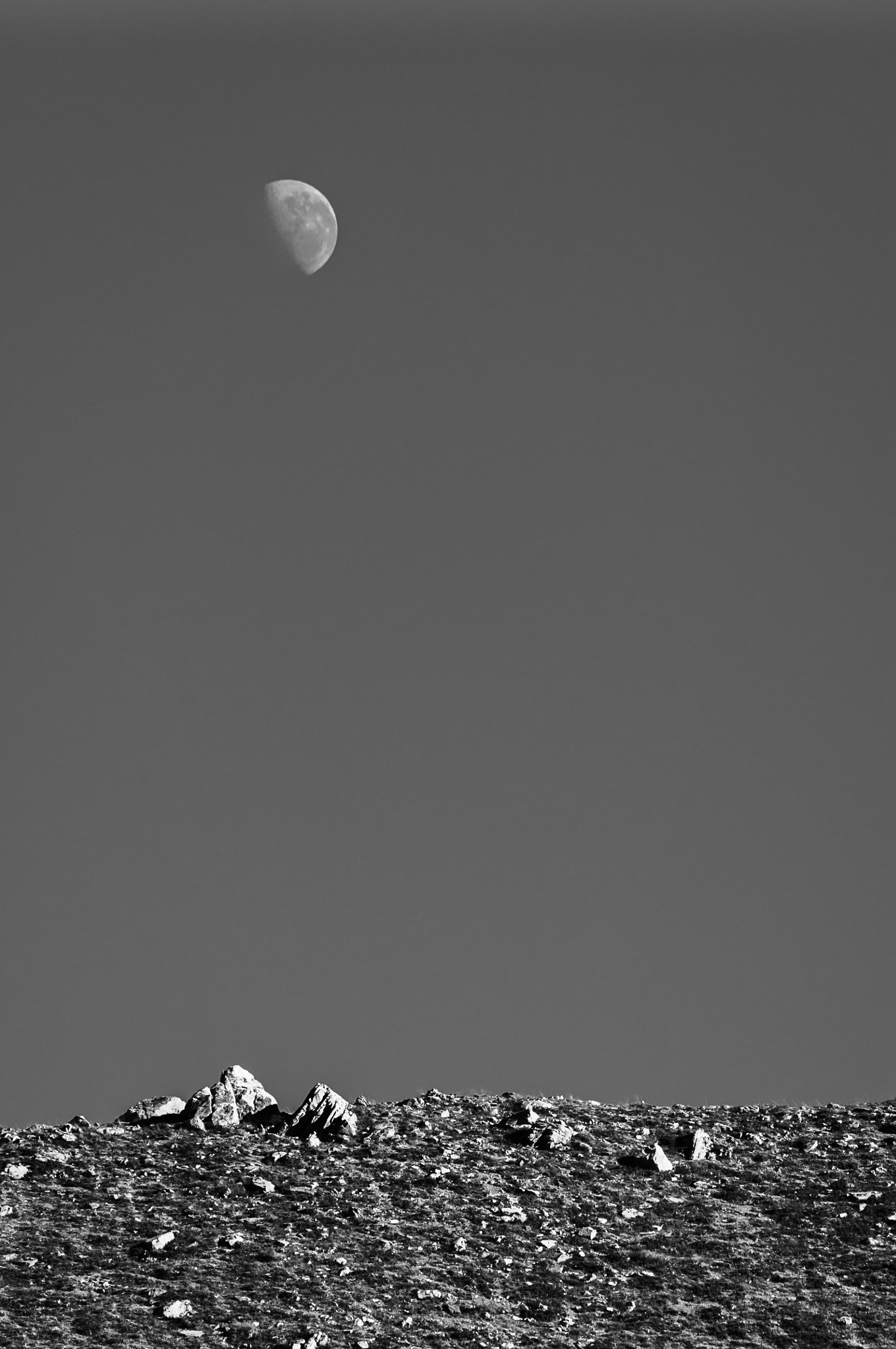 Nikon D5000 sample photo. Day moon photography