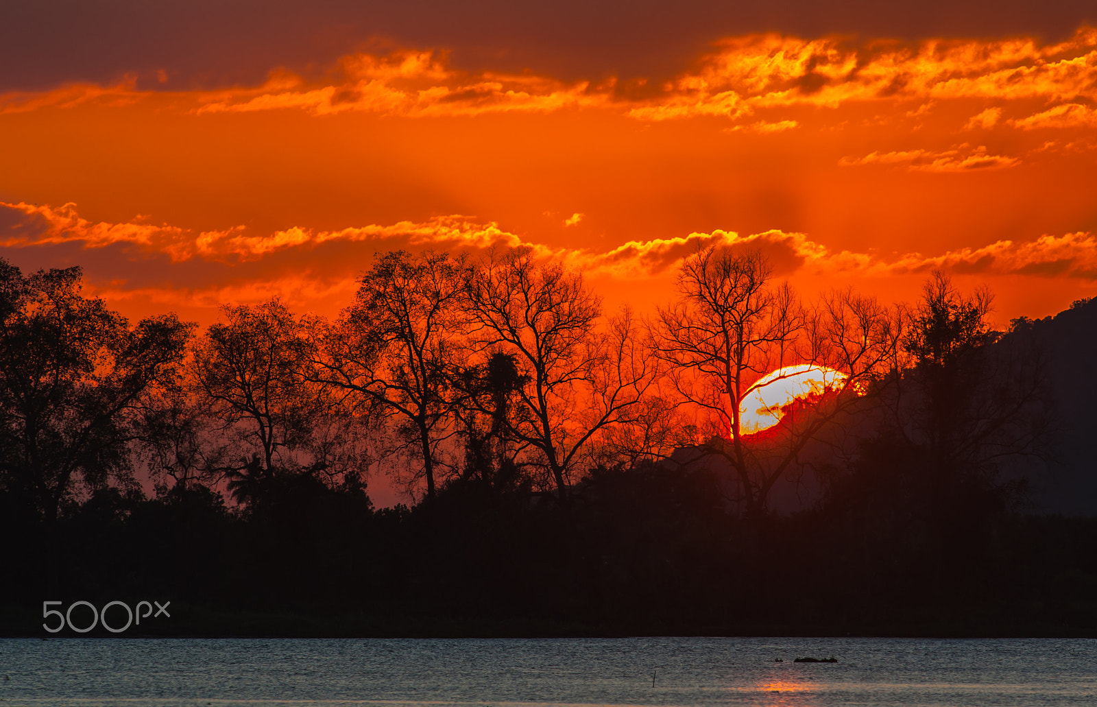 Nikon D700 + Nikkor 500mm f/4 P ED IF sample photo. The evening sunset at the lakeside. photography