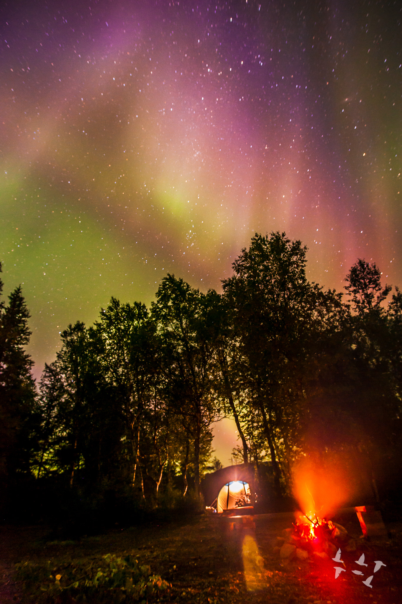 Nikon D700 + Sigma 20mm F1.8 EX DG Aspherical RF sample photo. Northern light photography