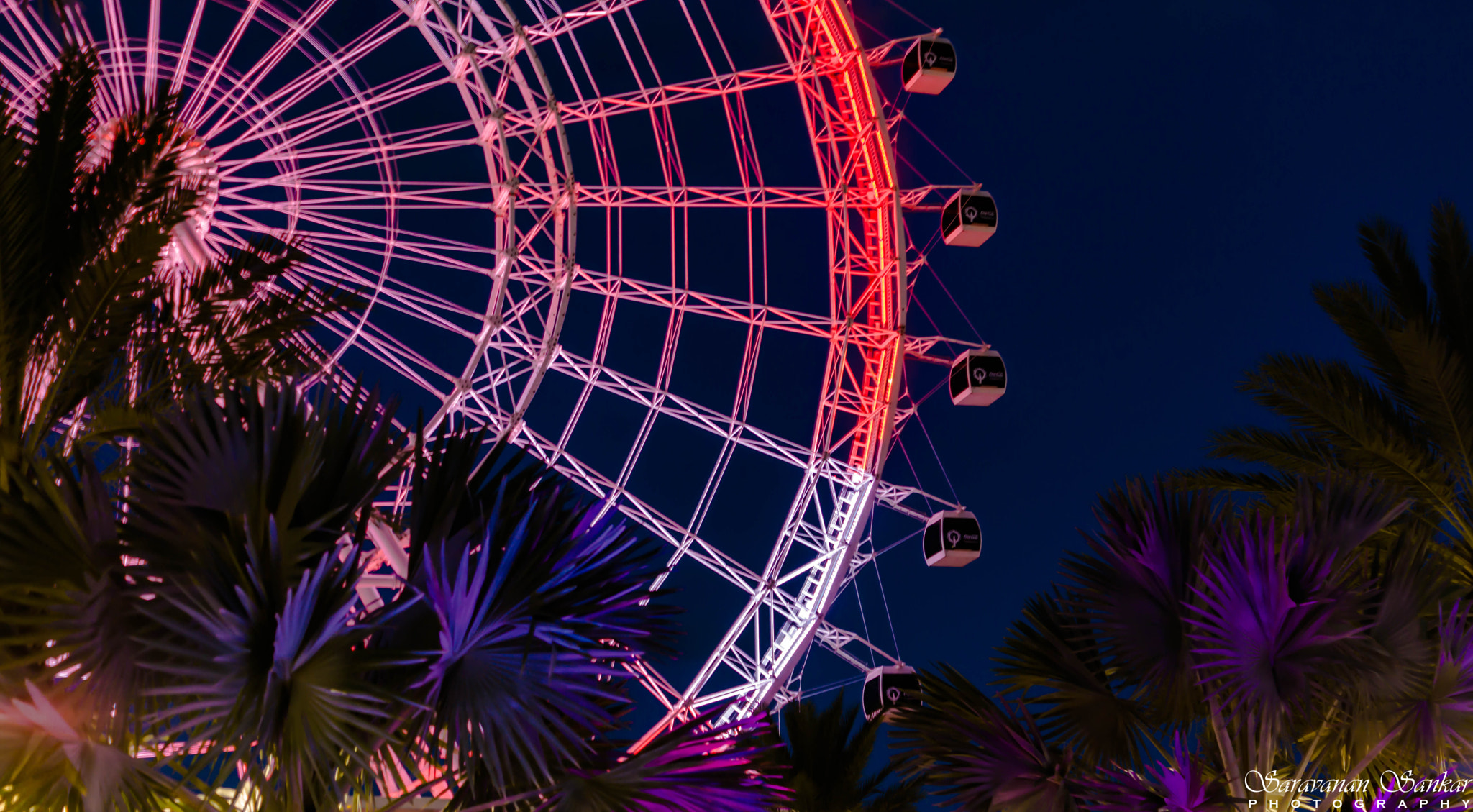 Sony SLT-A65 (SLT-A65V) + Sony DT 35mm F1.8 SAM sample photo. Orlando eye photography