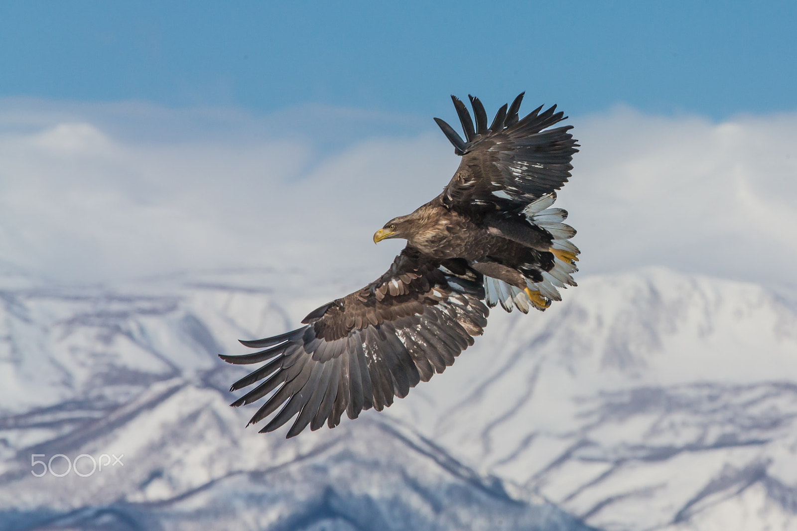Canon EOS-1D X sample photo. Flying above snow mountains1 photography