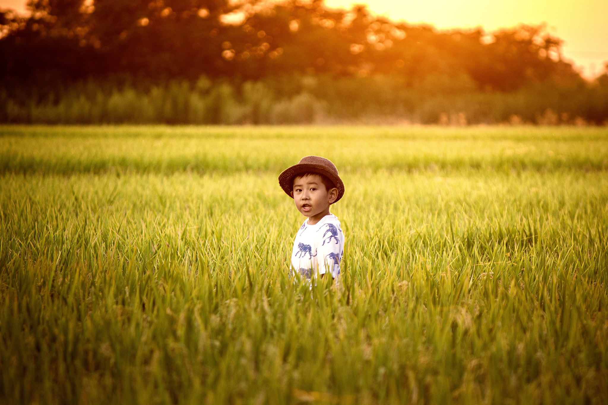 Canon EOS 600D (Rebel EOS T3i / EOS Kiss X5) sample photo. My son photography