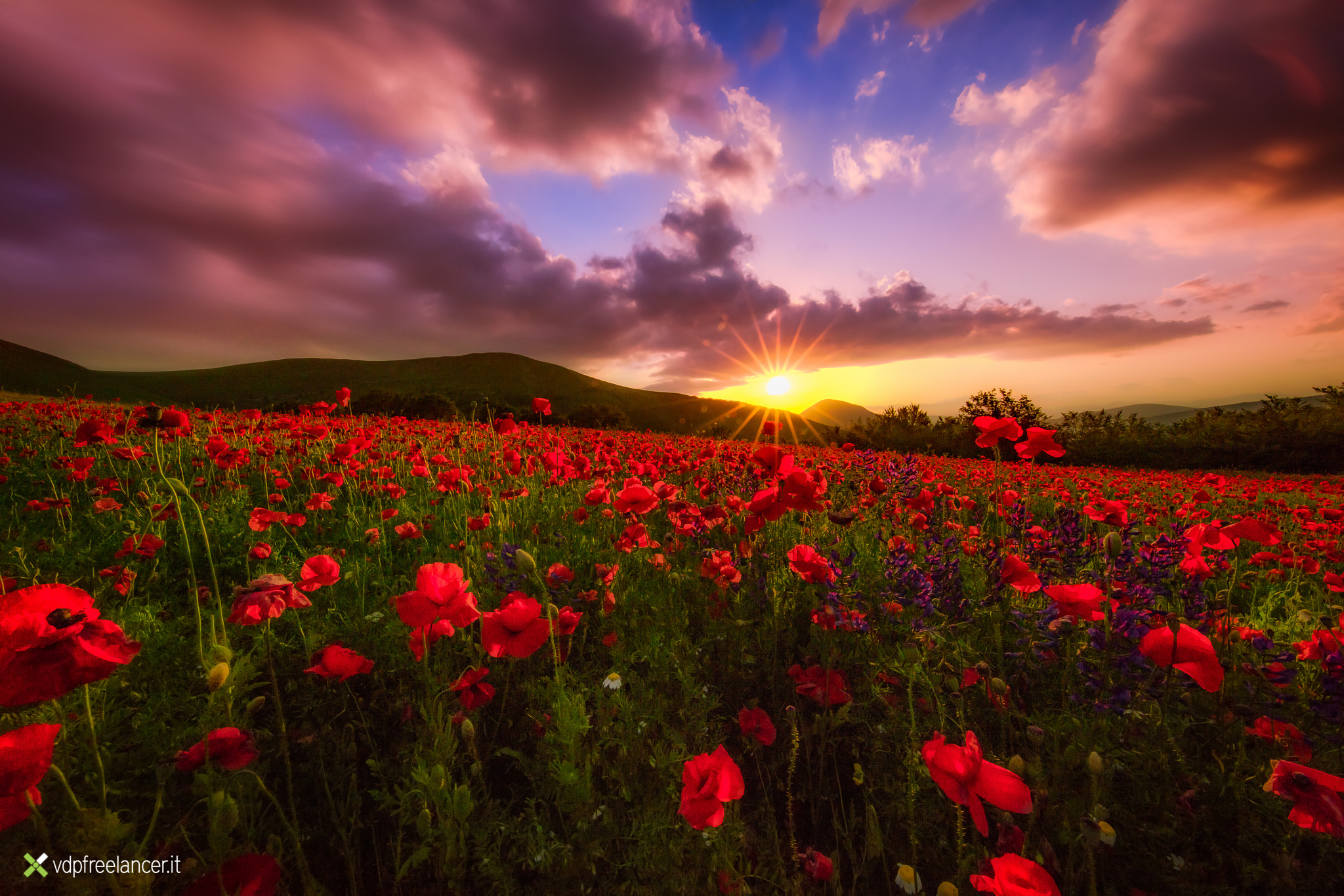 Canon EOS 5DS + Canon EF 11-24mm F4L USM sample photo. Sunset in castelluccio photography