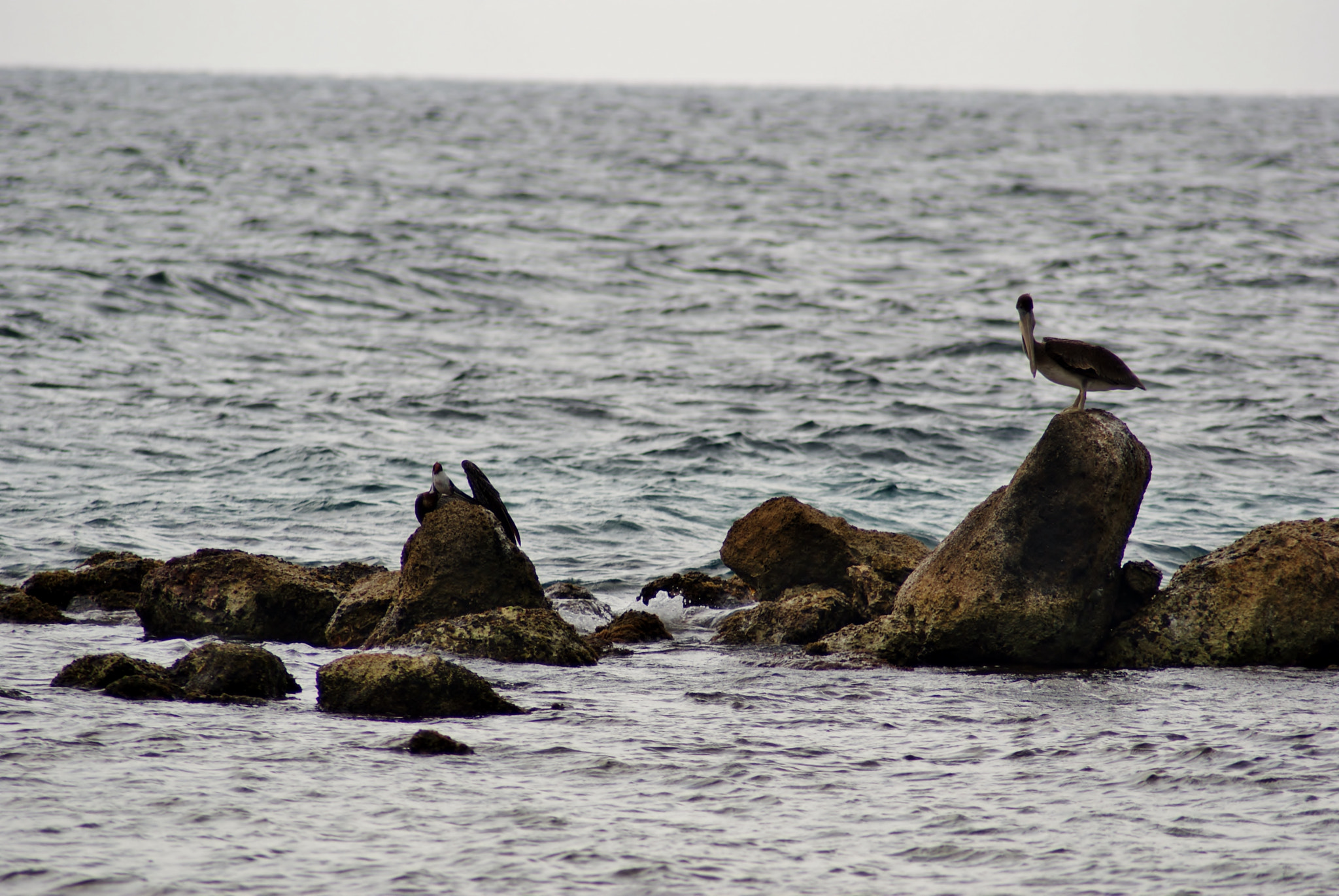 Tamron Lens (255) sample photo. Waiting photography