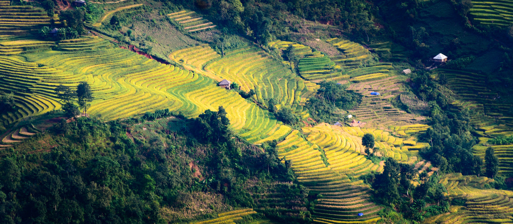Nikon D600 sample photo. Sapa viet nam photography
